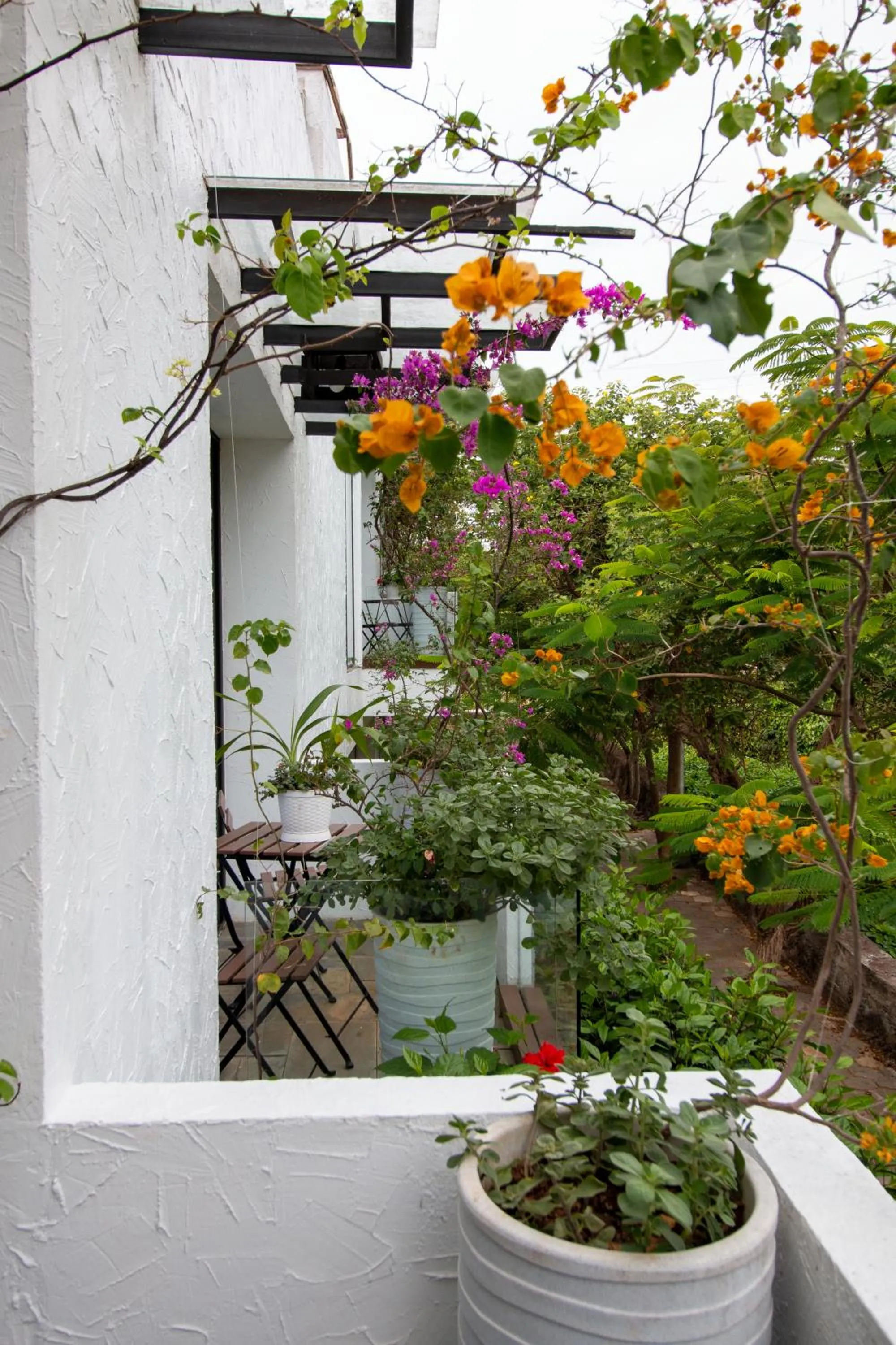 Balcony/Terrace in Golden Bay Galapagos