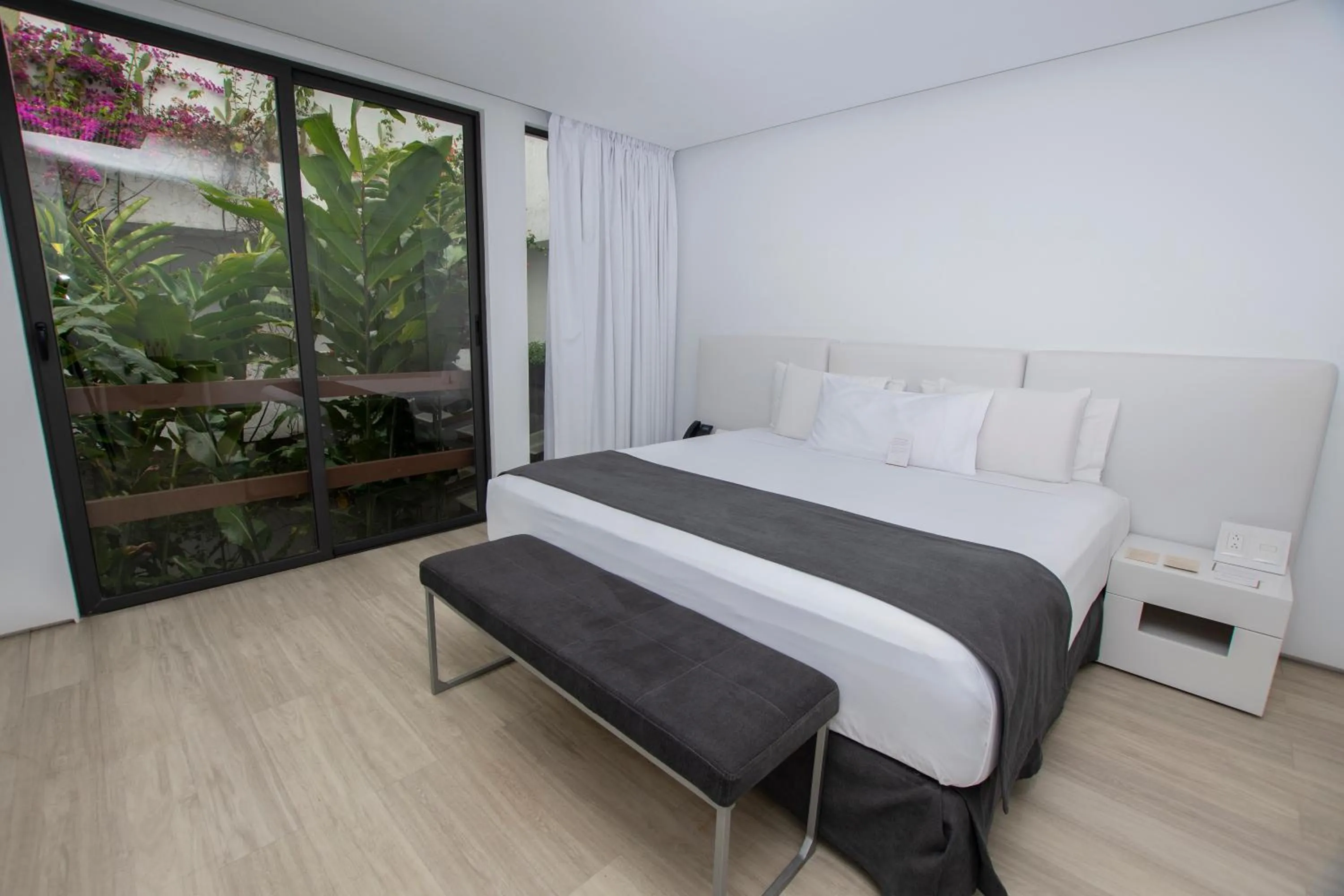 Bed in Golden Bay Galapagos