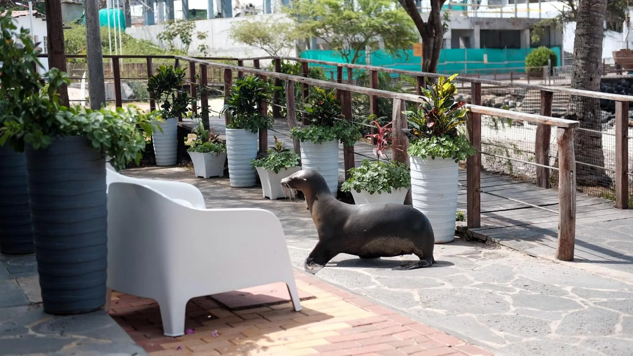 Day in Golden Bay Galapagos