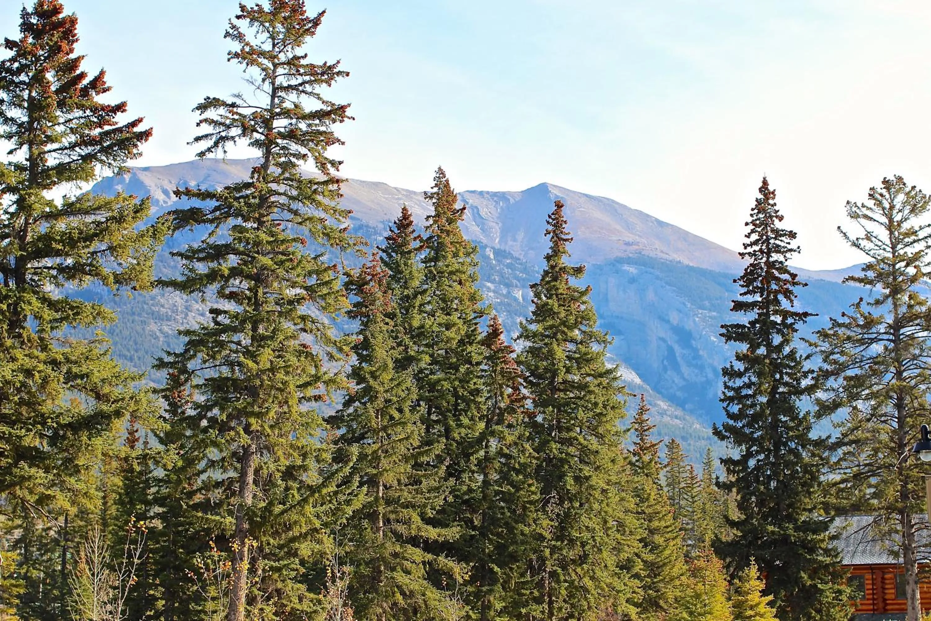 Natural landscape in Luxury Canmore Vacations