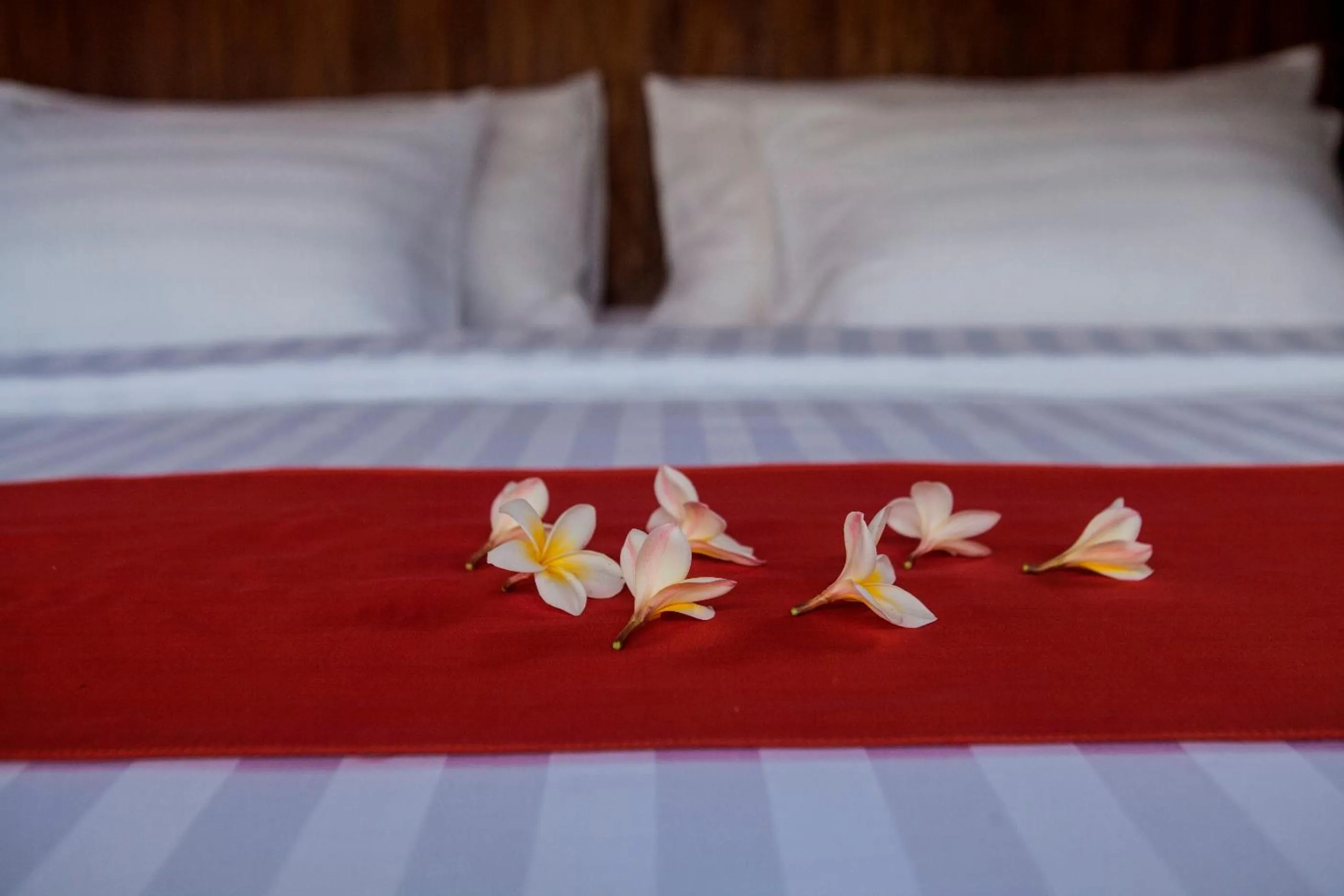 bunk bed, Bed in Regali Villa Canggu