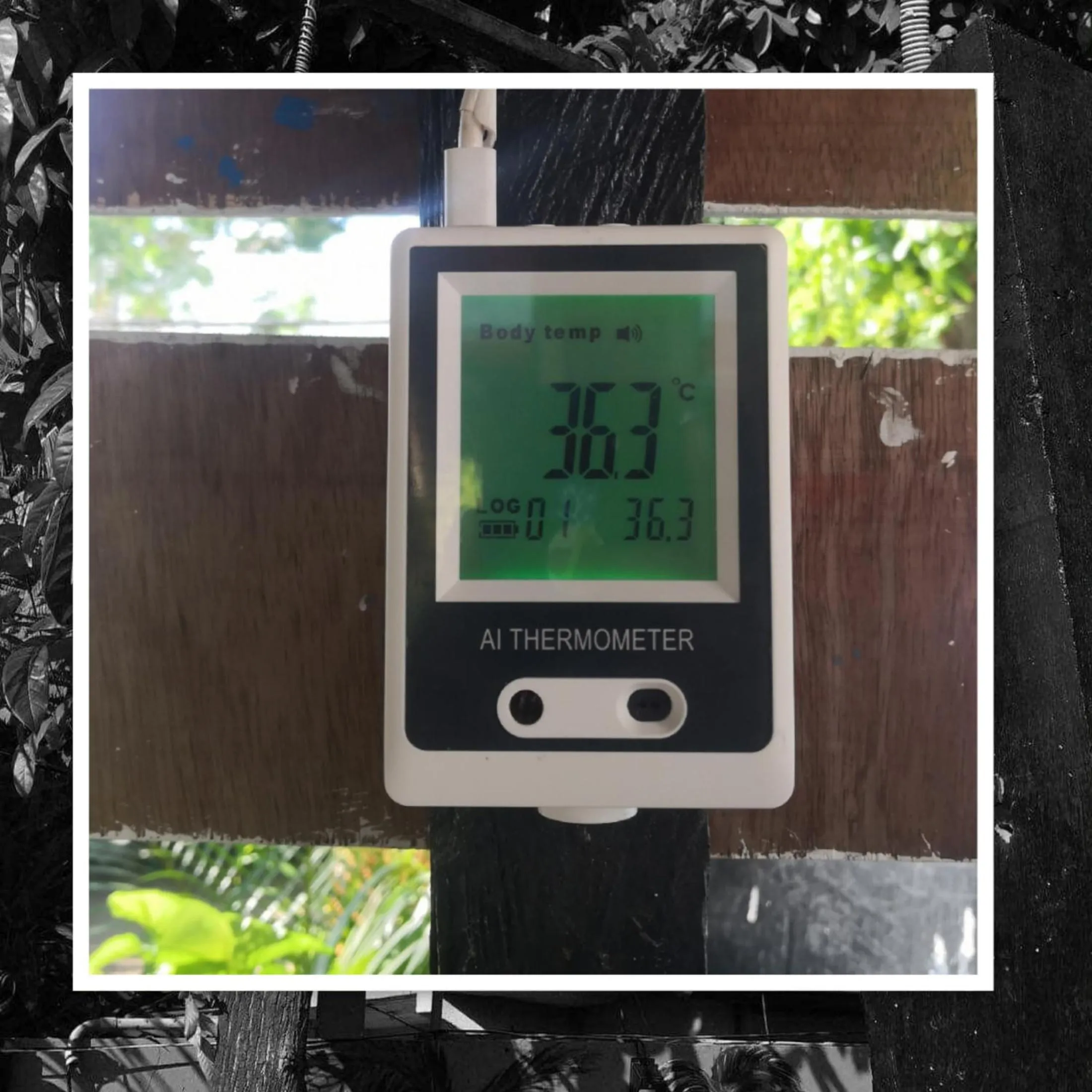 Property building in Casa Isabel Hostel