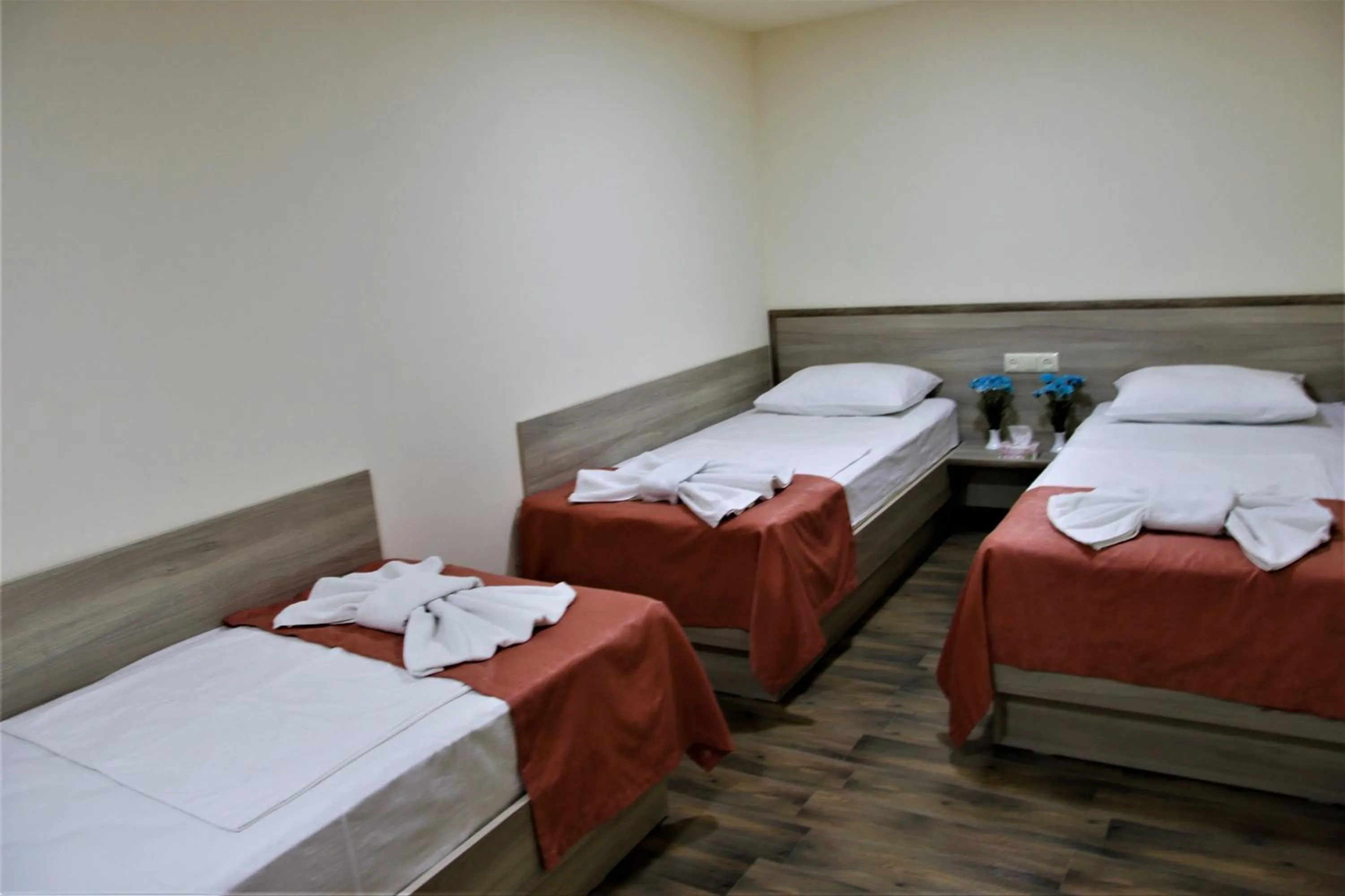 Bed in Albert House Hotel and Tours