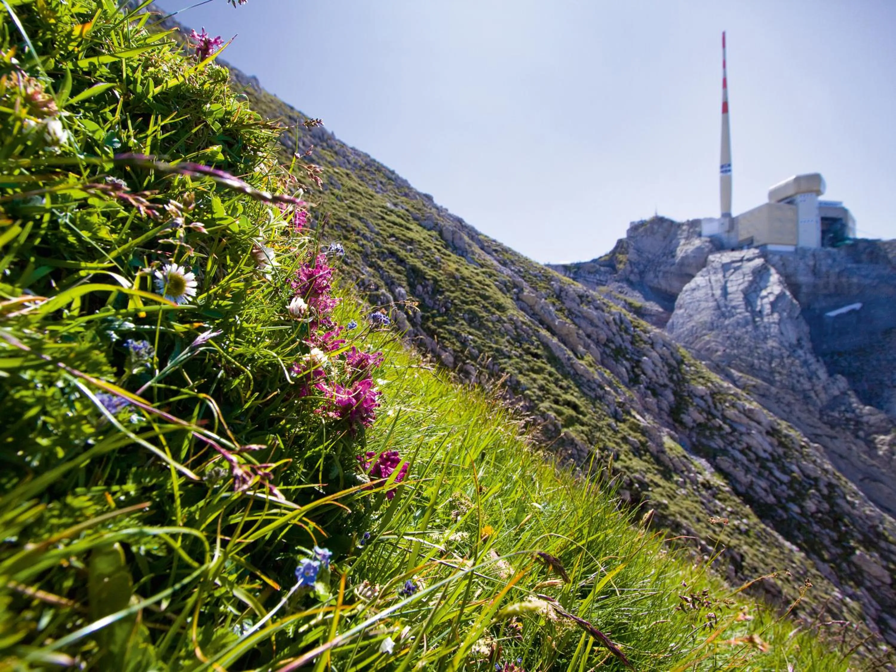 Natural landscape in Säntis - das Hotel