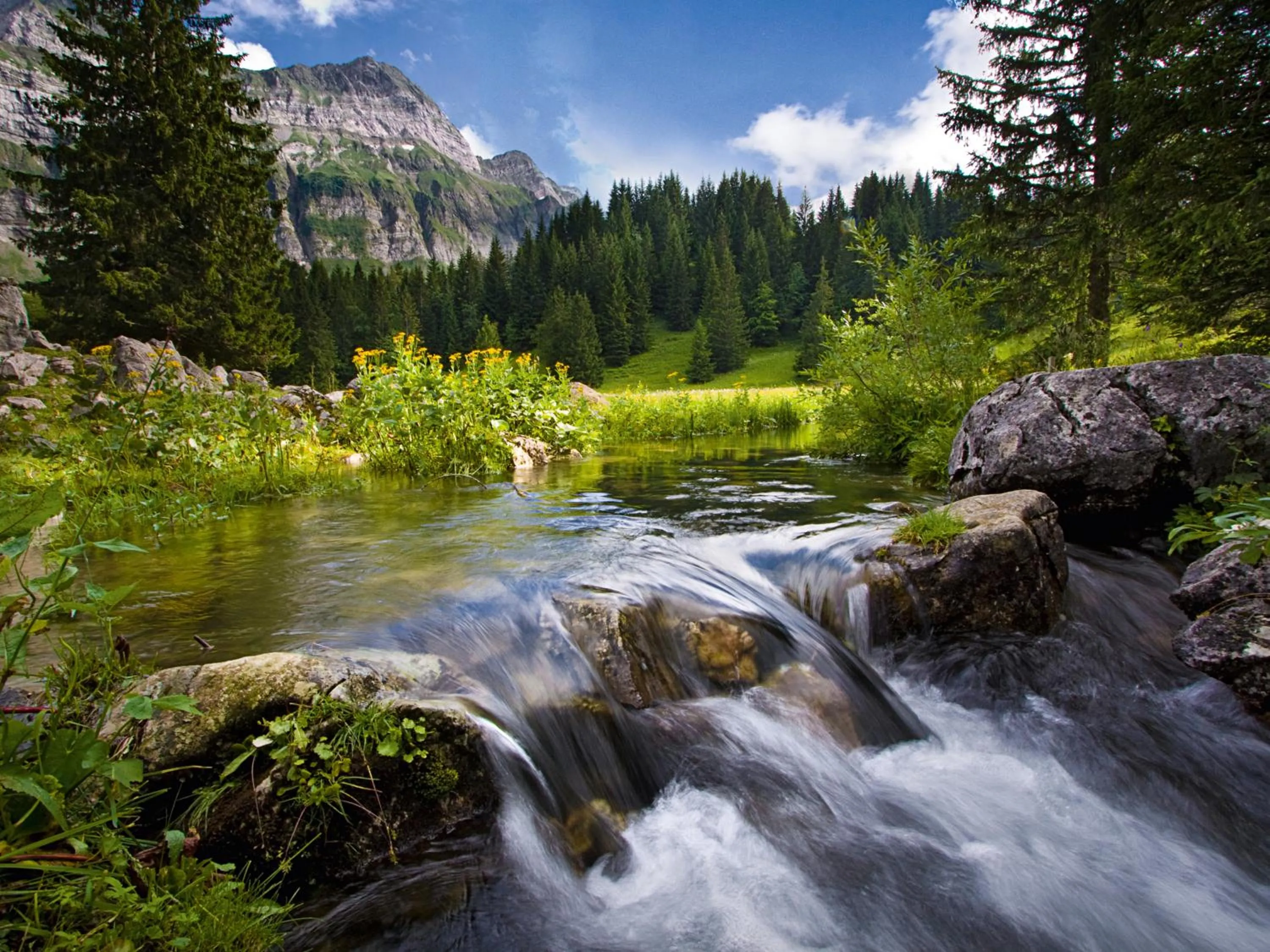 Natural landscape in Säntis - das Hotel