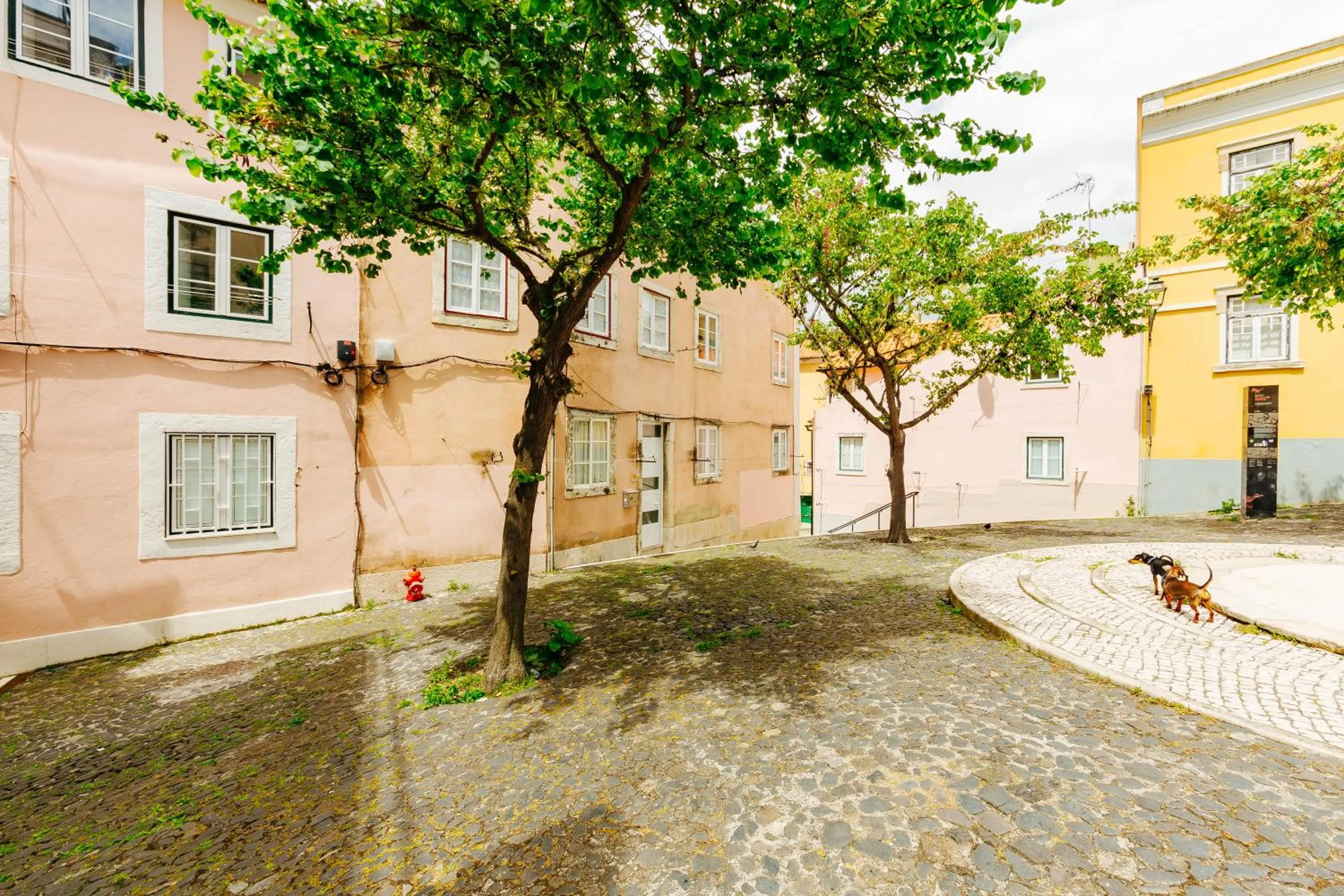 Off site in RENT4REST LISBON DOWNTOWN TINY STUDIO Apartments