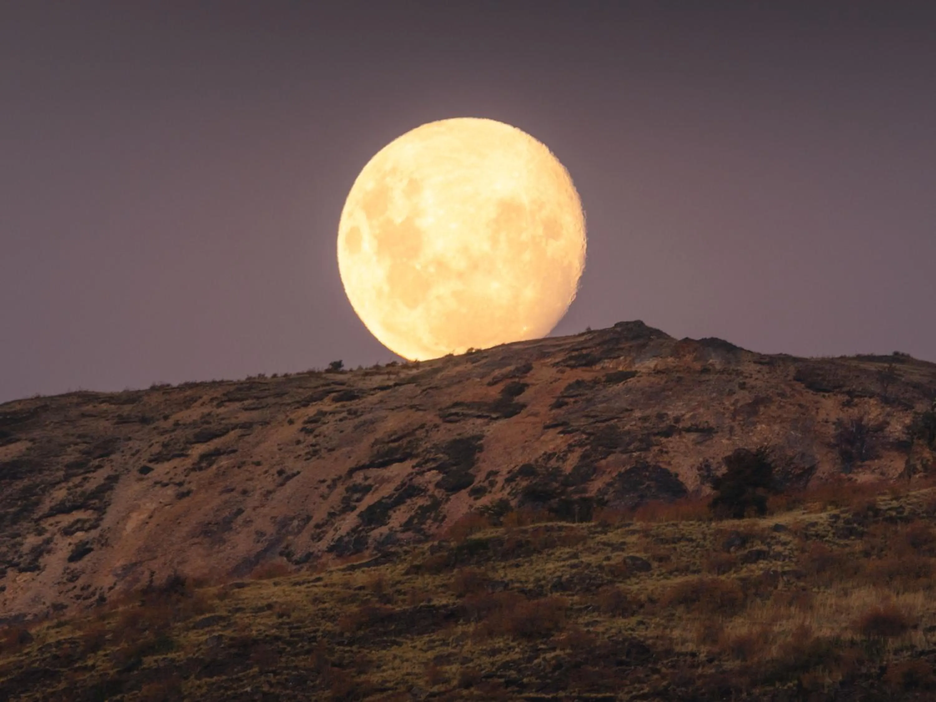 Natural landscape in Loberias Del Sur