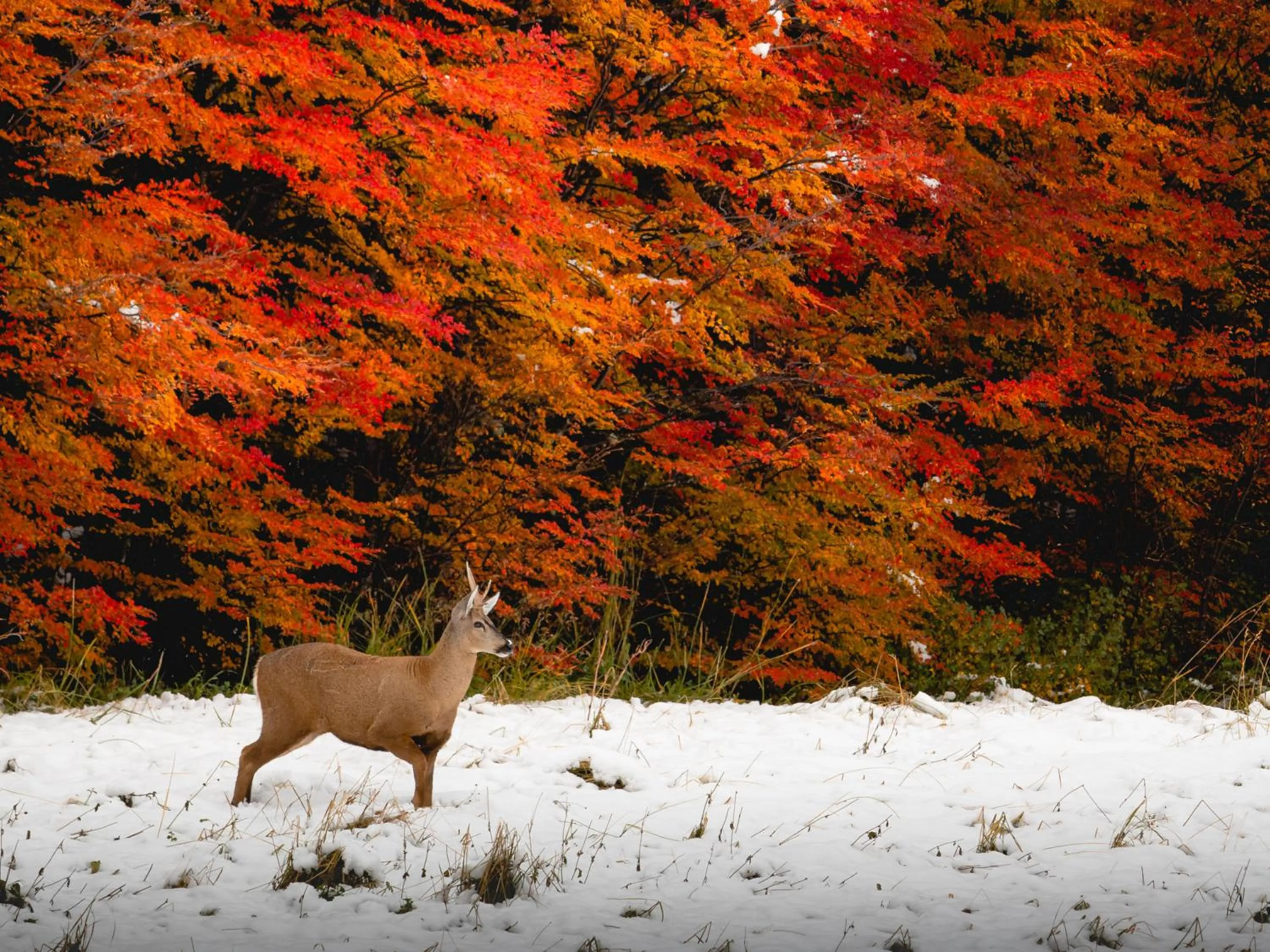 Natural landscape in Loberias Del Sur