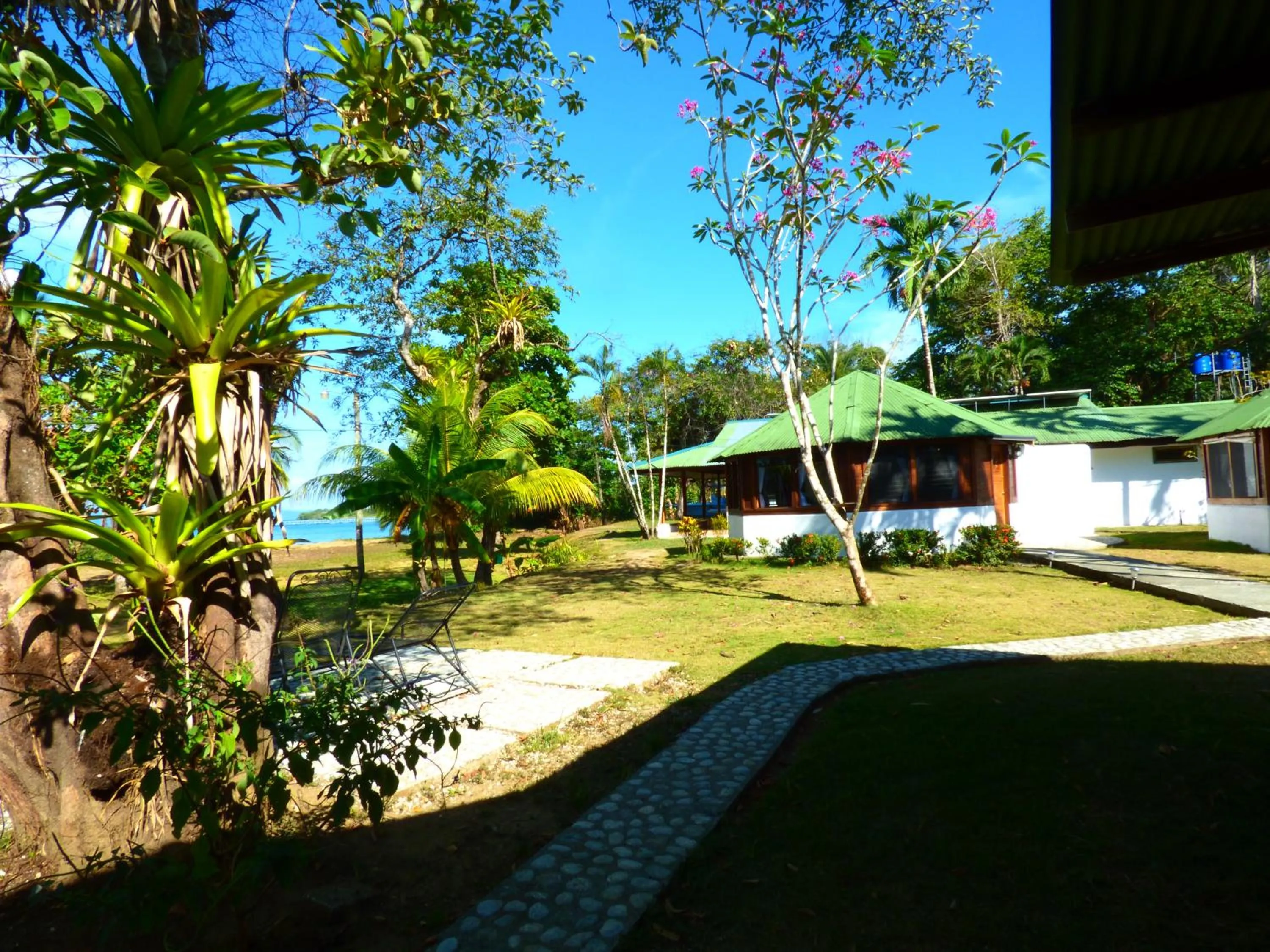 Other in Corcovado Beach Lodge