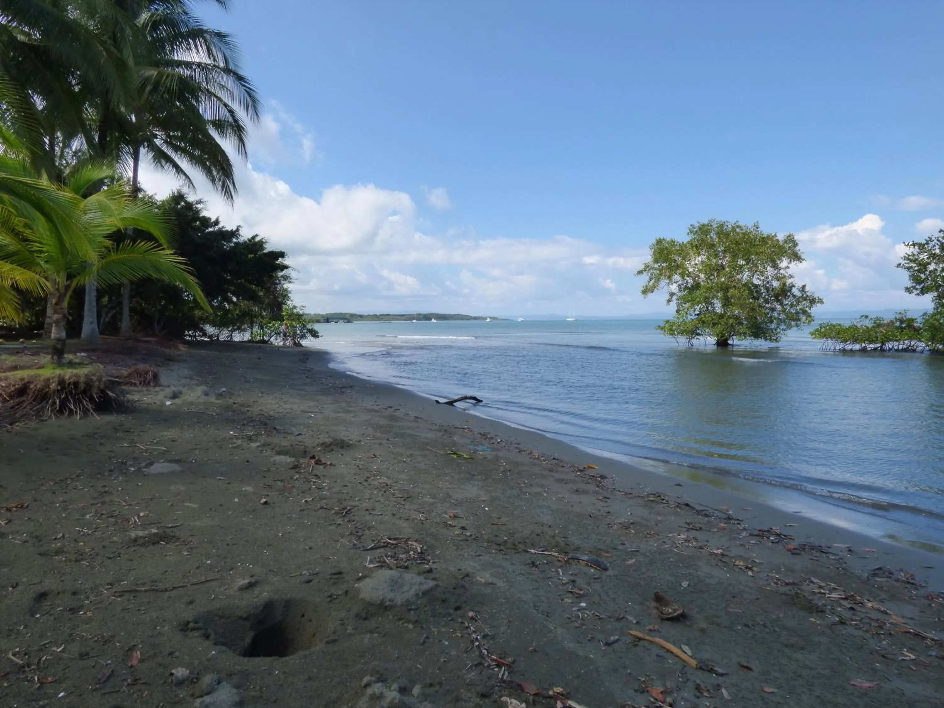 Beach in Corcovado Beach Lodge