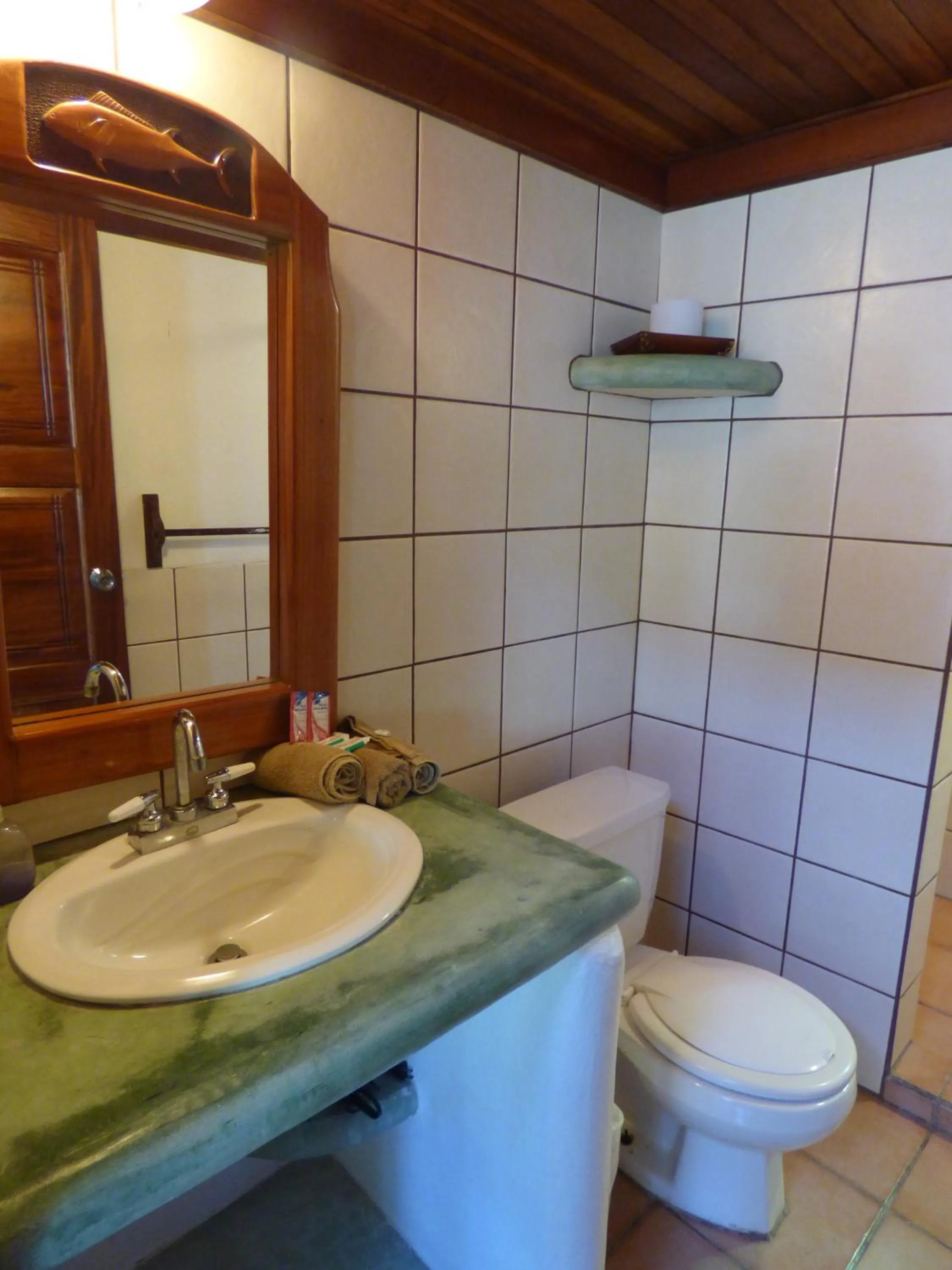 Other in Corcovado Beach Lodge