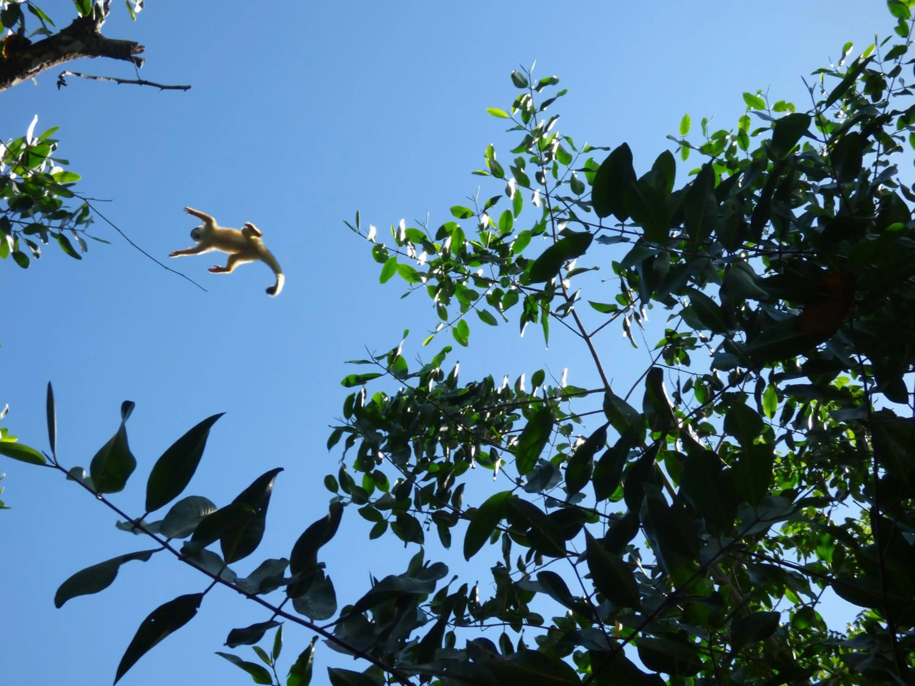 Off site in Corcovado Beach Lodge