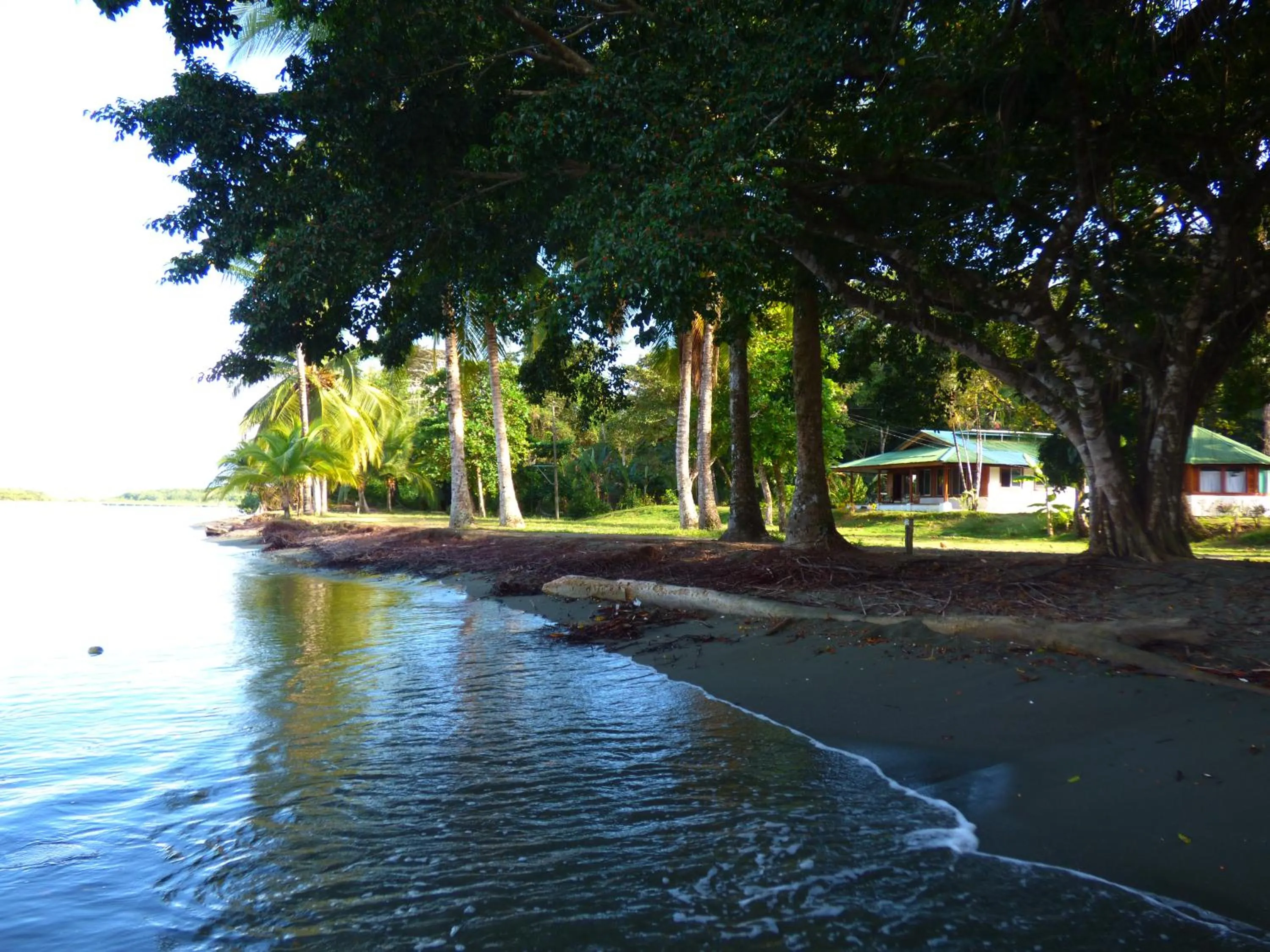 Beach in Corcovado Beach Lodge