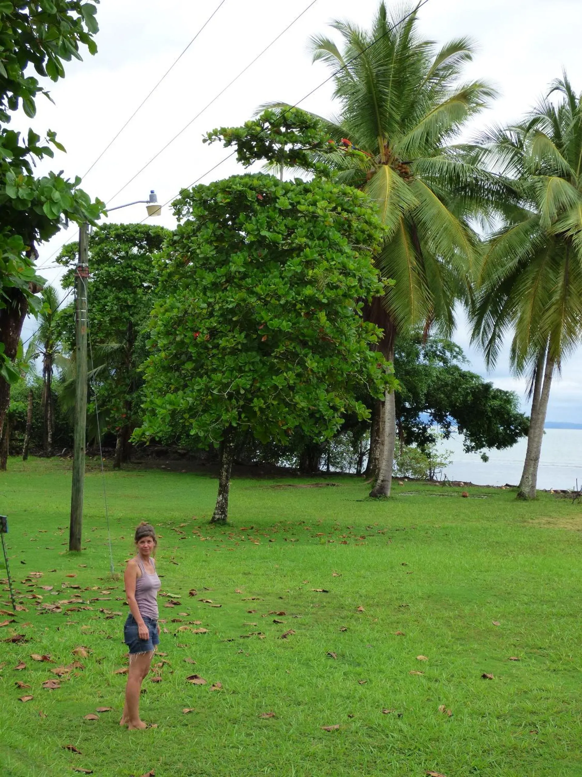 Beach in Corcovado Beach Lodge