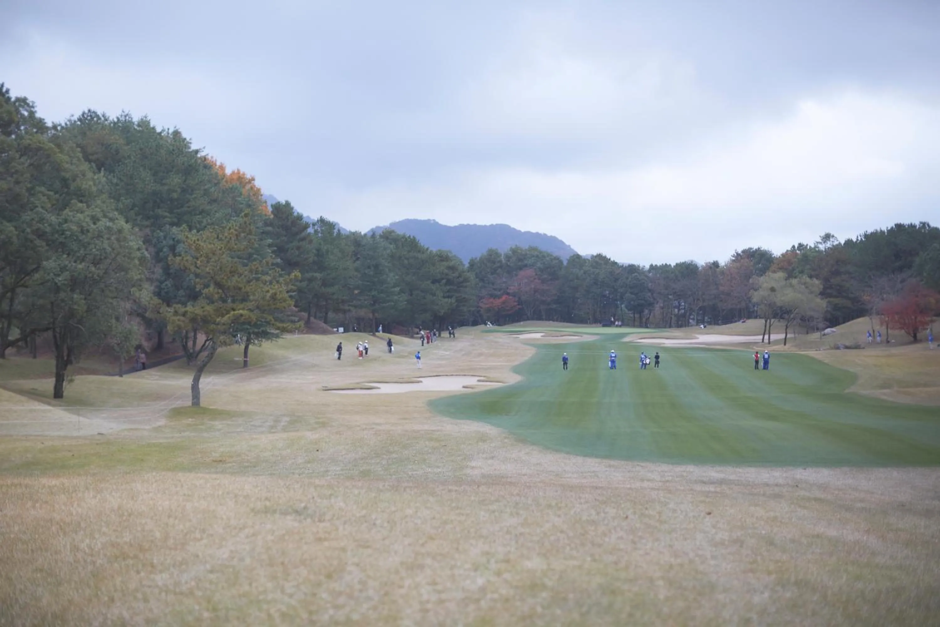 Golfcourse in SETOUCHI RETREAT by Onko Chishin