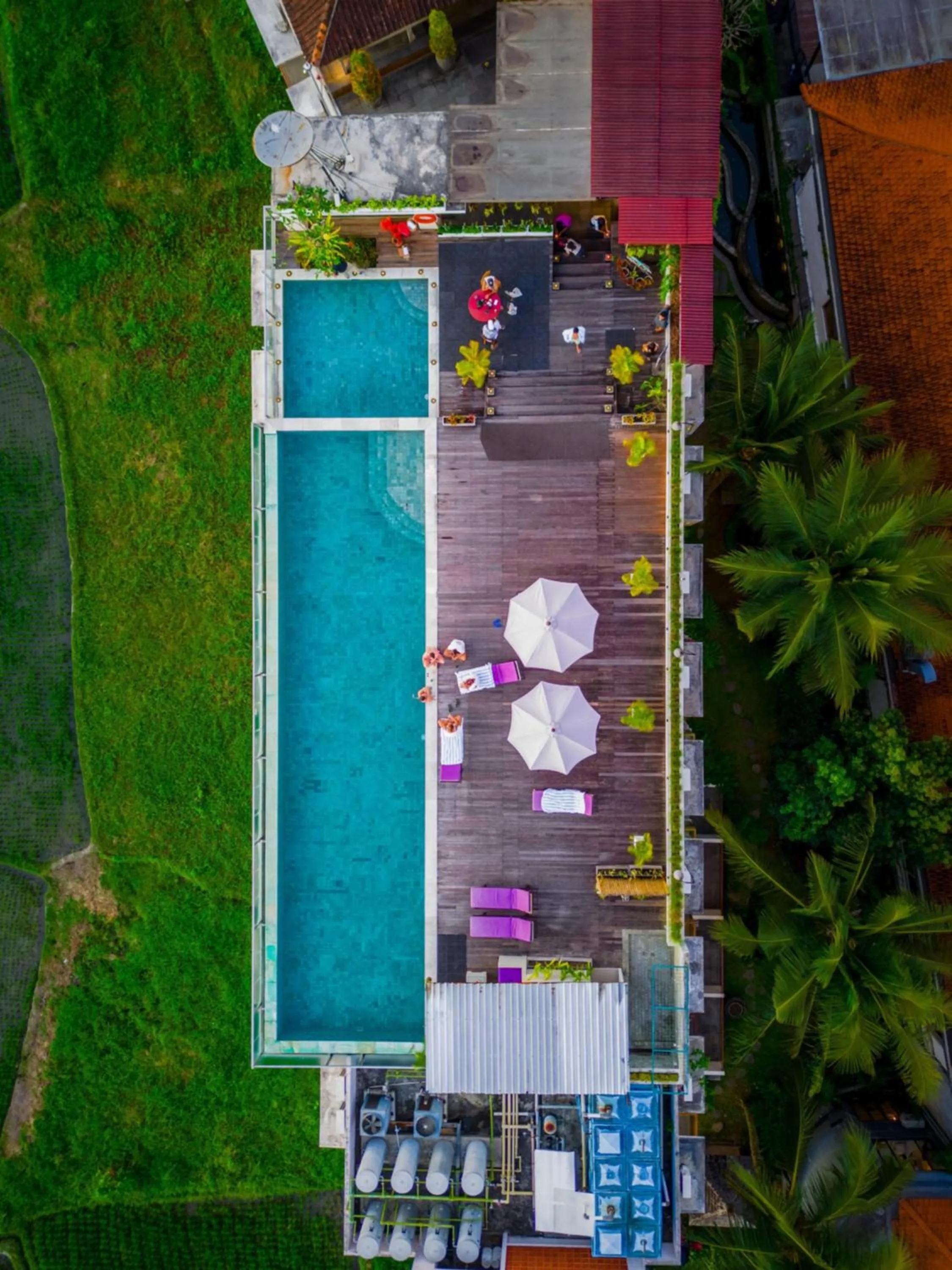 Swimming pool in The Evitel Resort Ubud