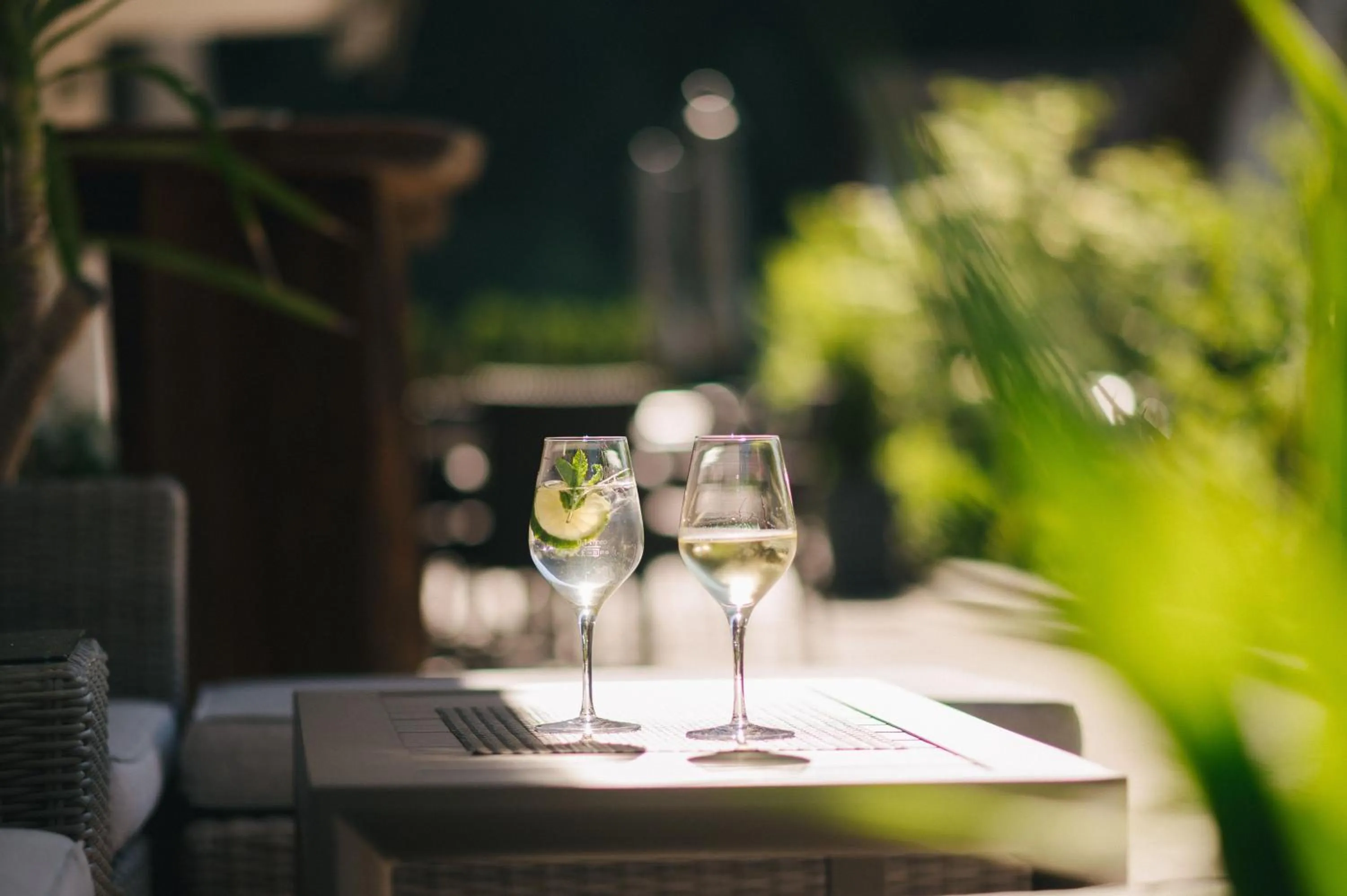 Garden in Hotel Fronza - your ski & mountain home