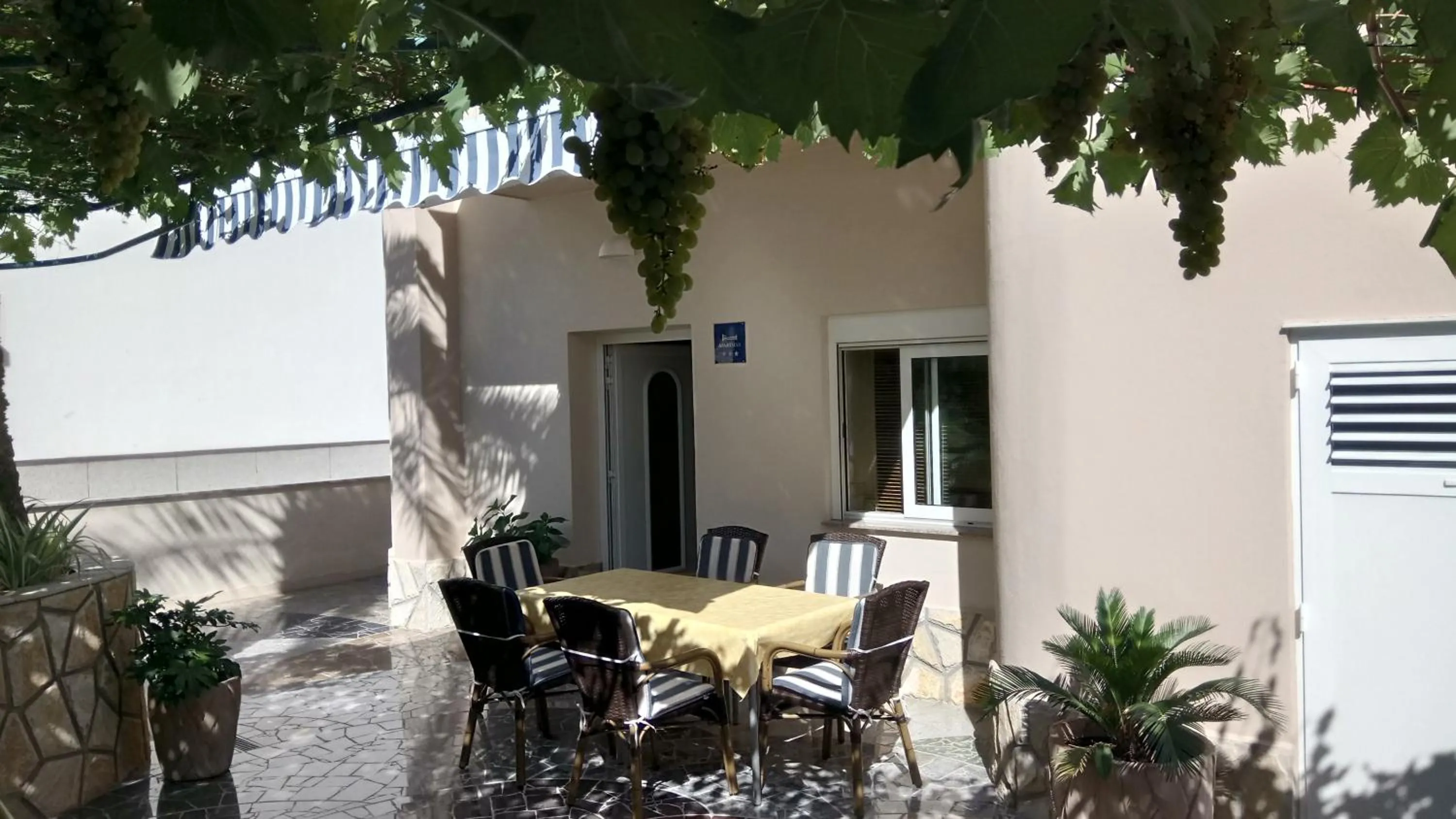 Apartment Burin Dvor
