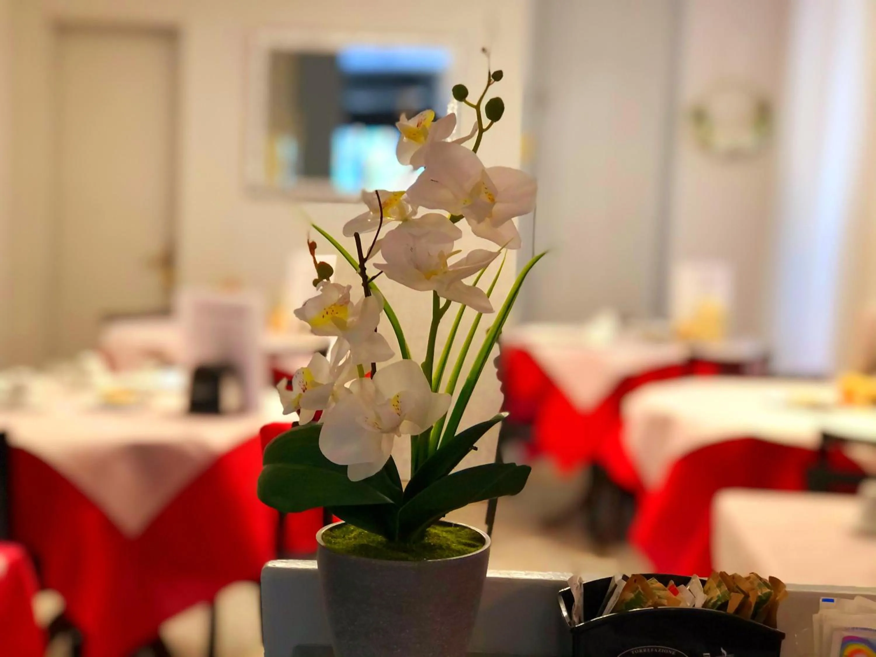 Food and drinks in Hotel Sanmicheli