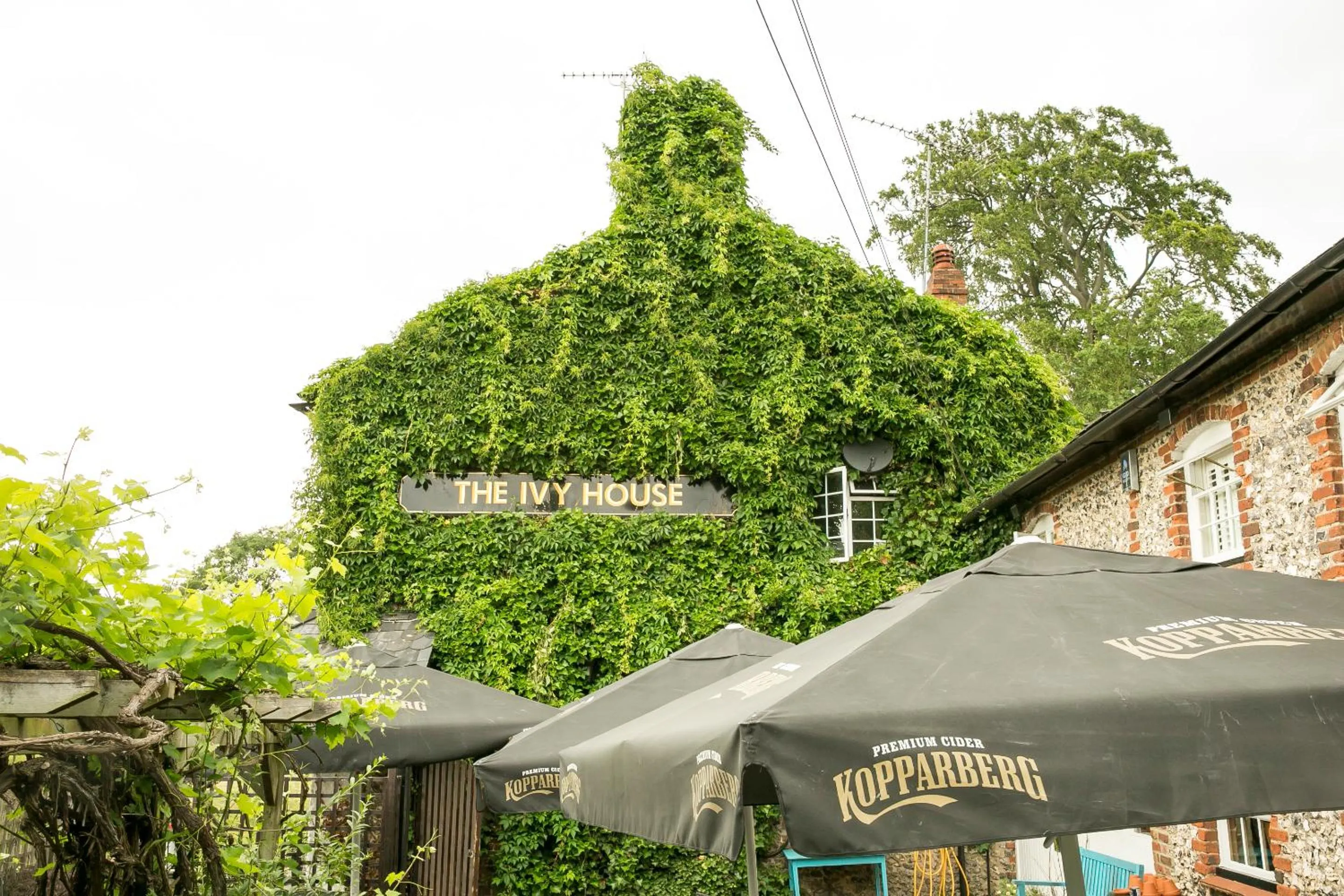 The Ivy House