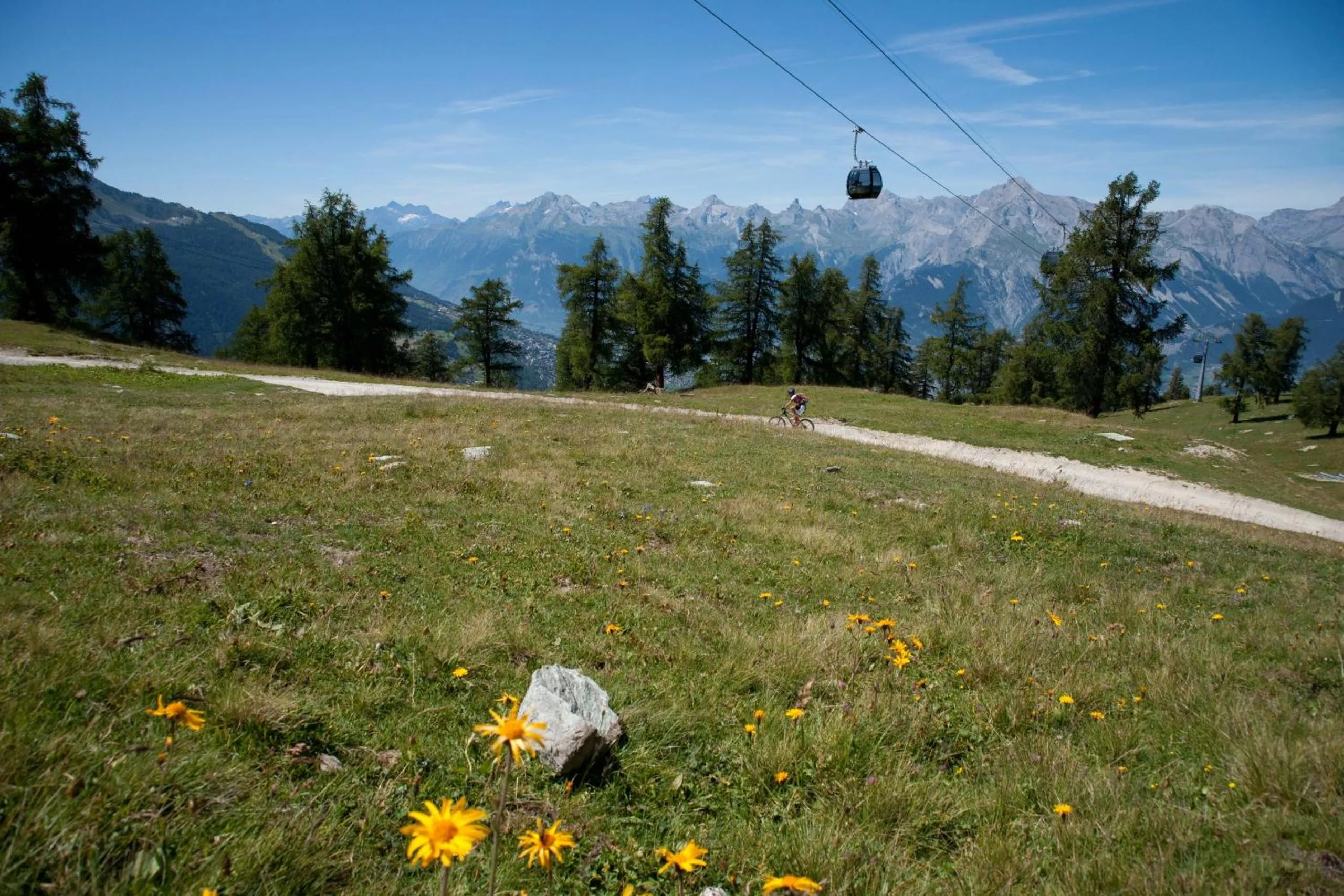 View (from property/room) in La Crettaz app dans chalet - SUNNY apartment 6 p