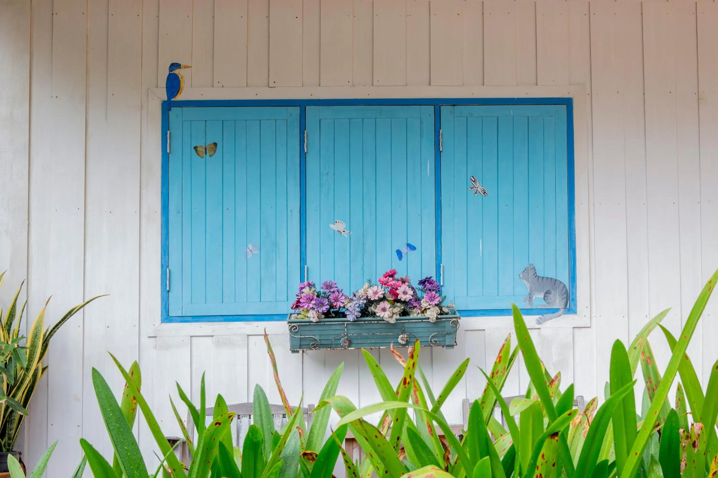 Day in The C Samet Beach Resort SHA Plus