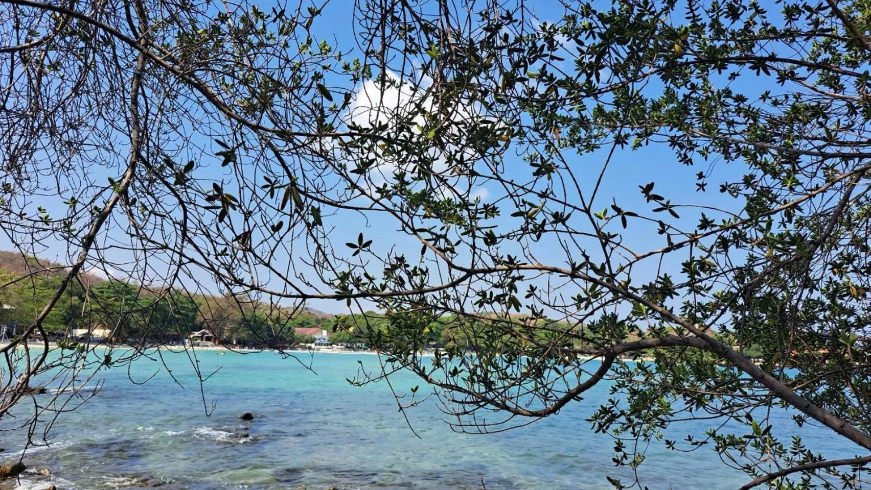 Restaurant/places to eat in The C Samet Beach Resort SHA Plus