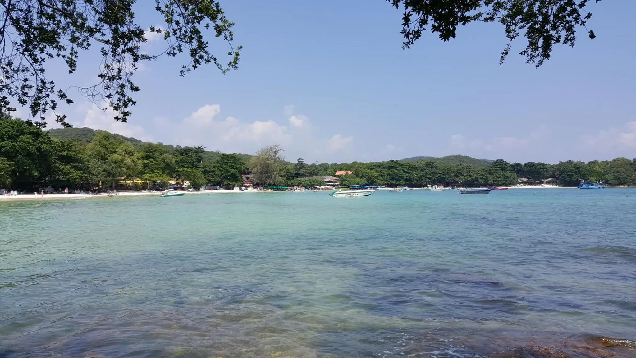 Natural landscape in The C Samet Beach Resort SHA Plus