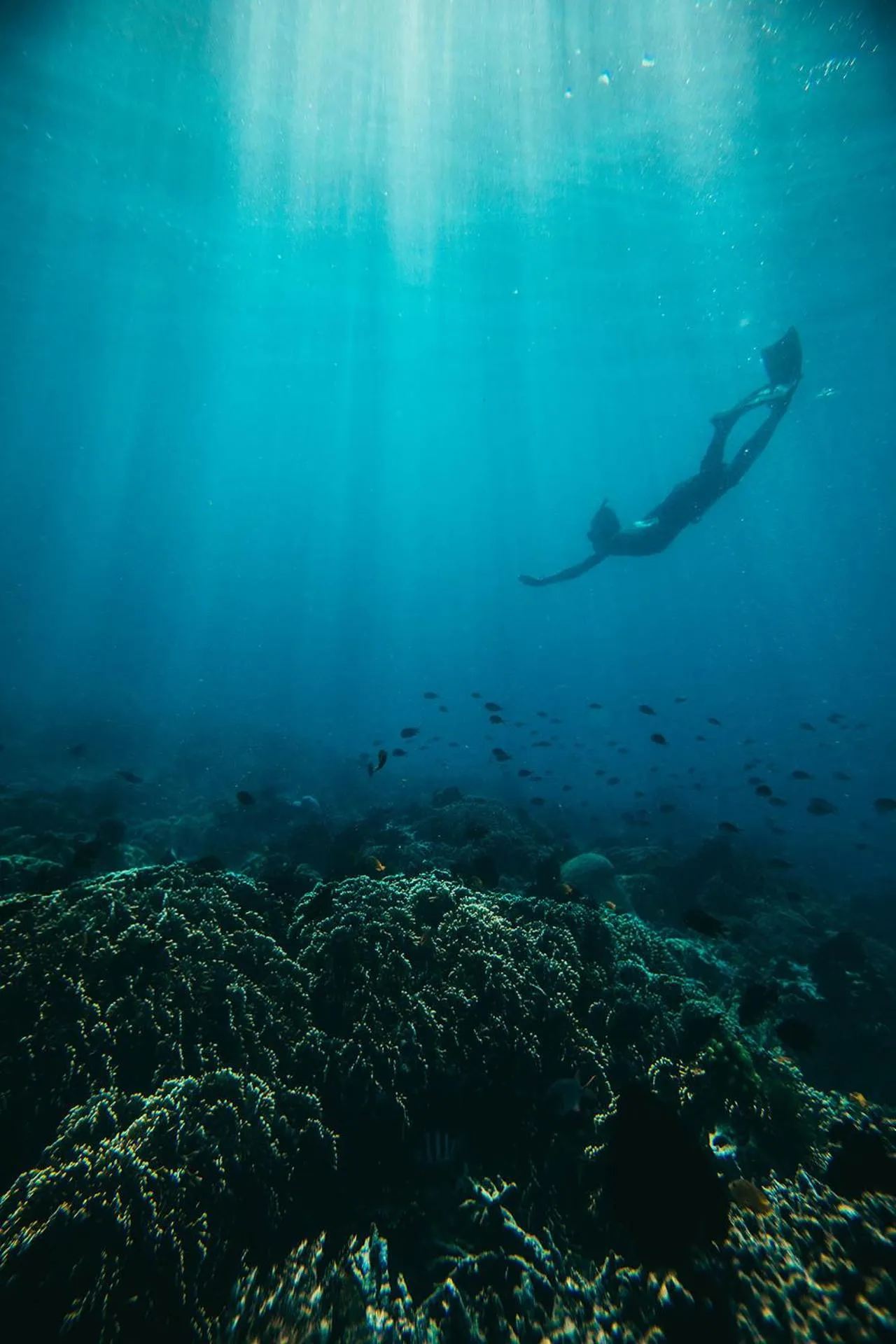 Gili Asahan Eco Lodge & Restaurant