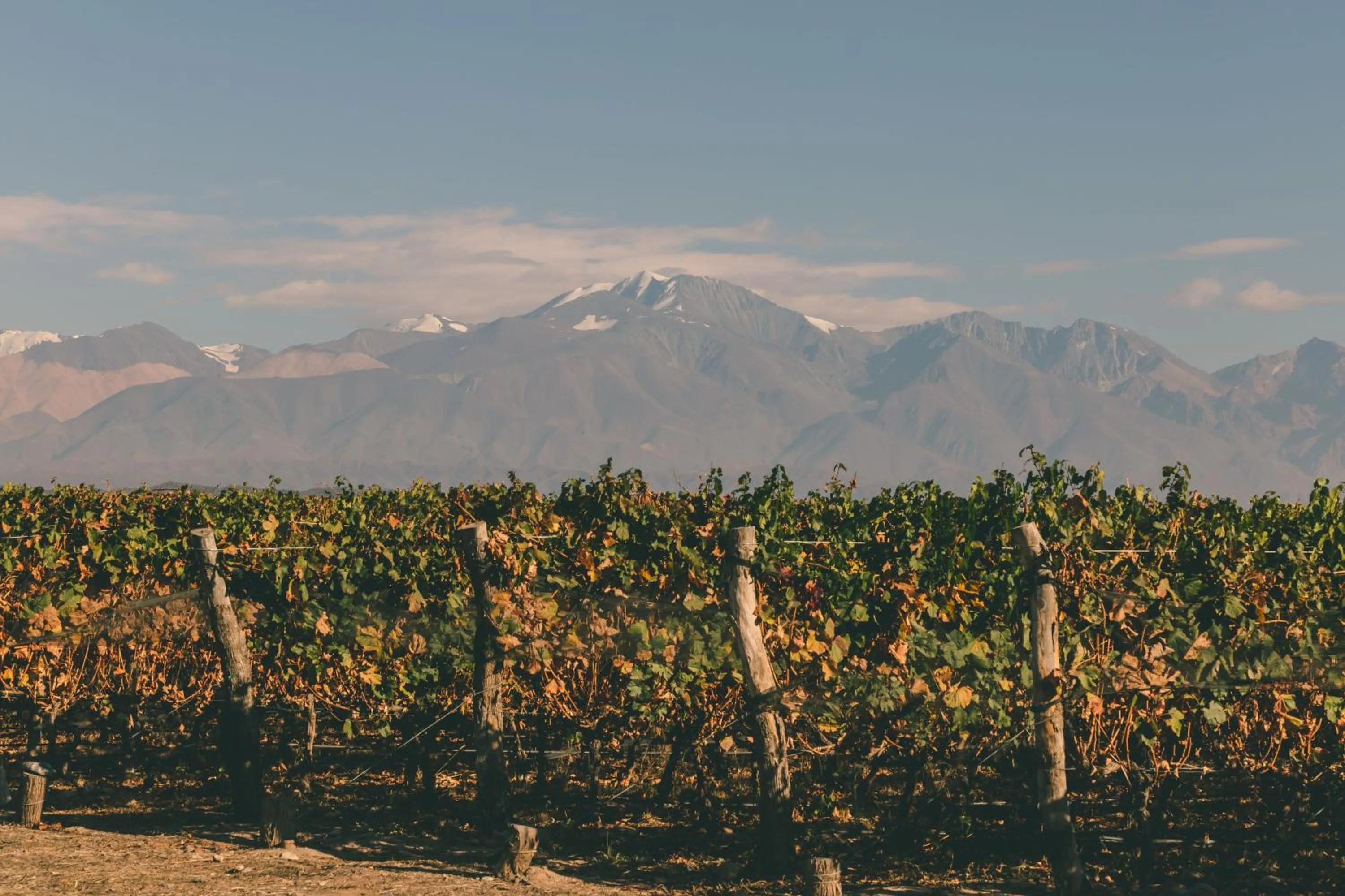 Spring in Rosell Boher Winery Lodge & Spa