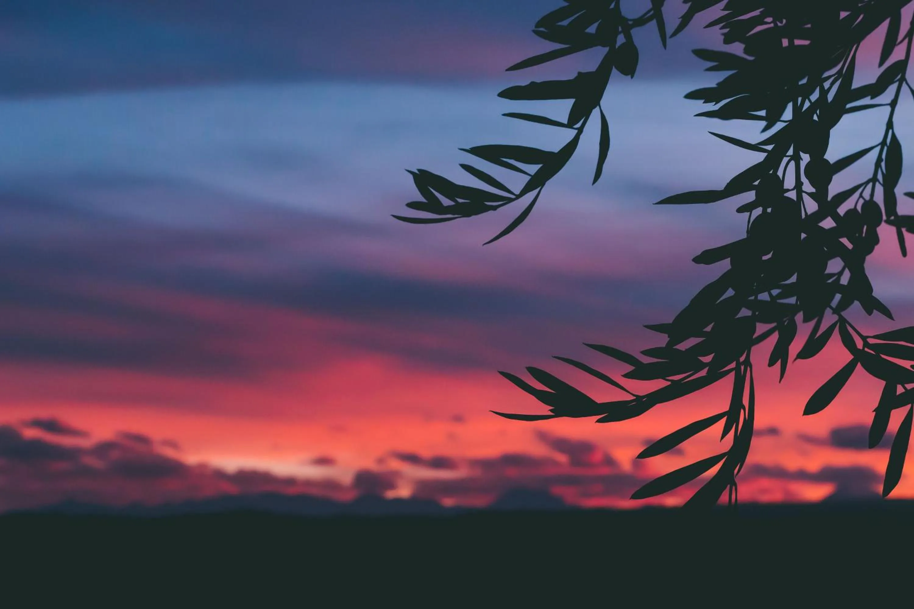 Natural landscape in Rosell Boher Winery Lodge & Spa