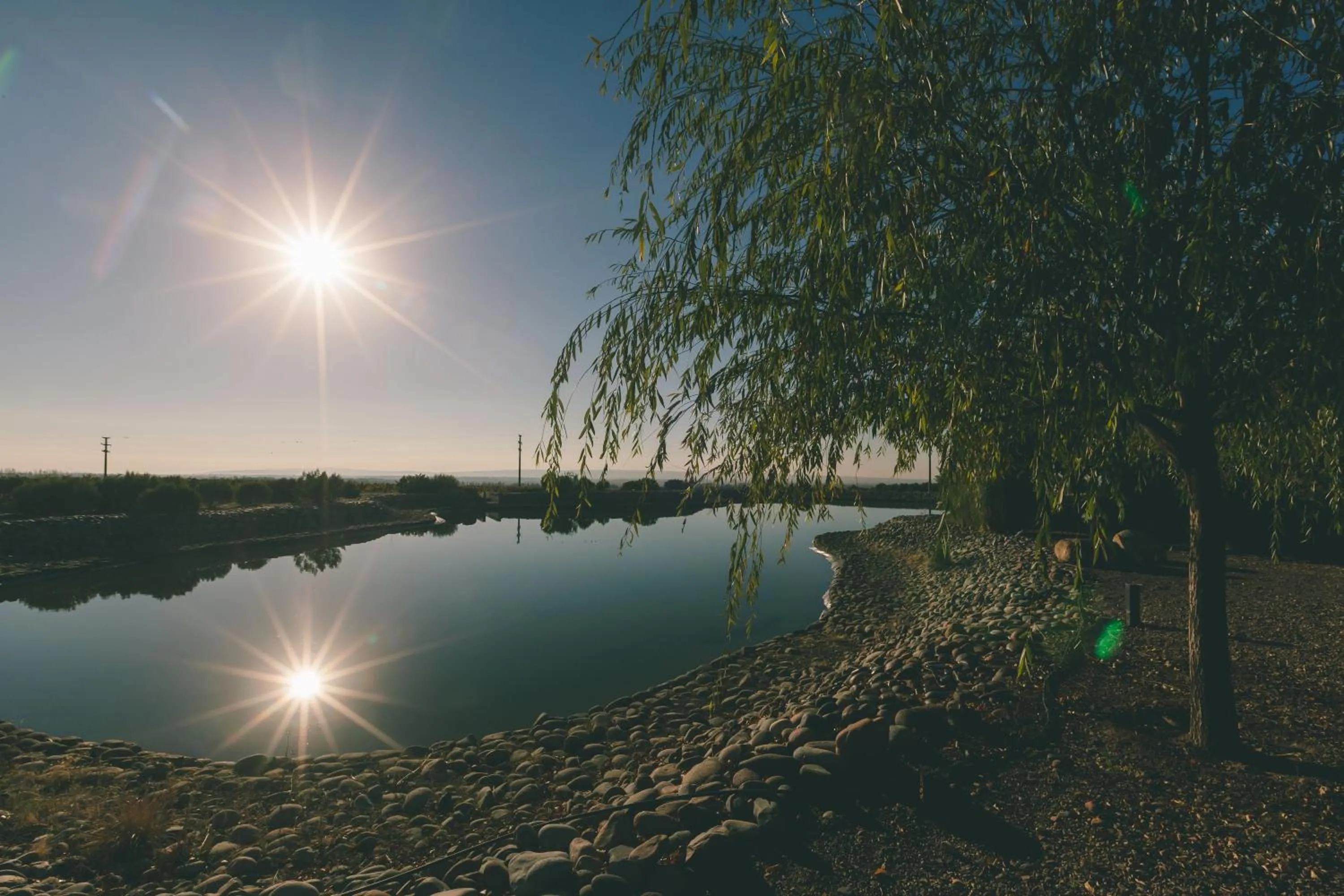 Spring in Rosell Boher Winery Lodge & Spa