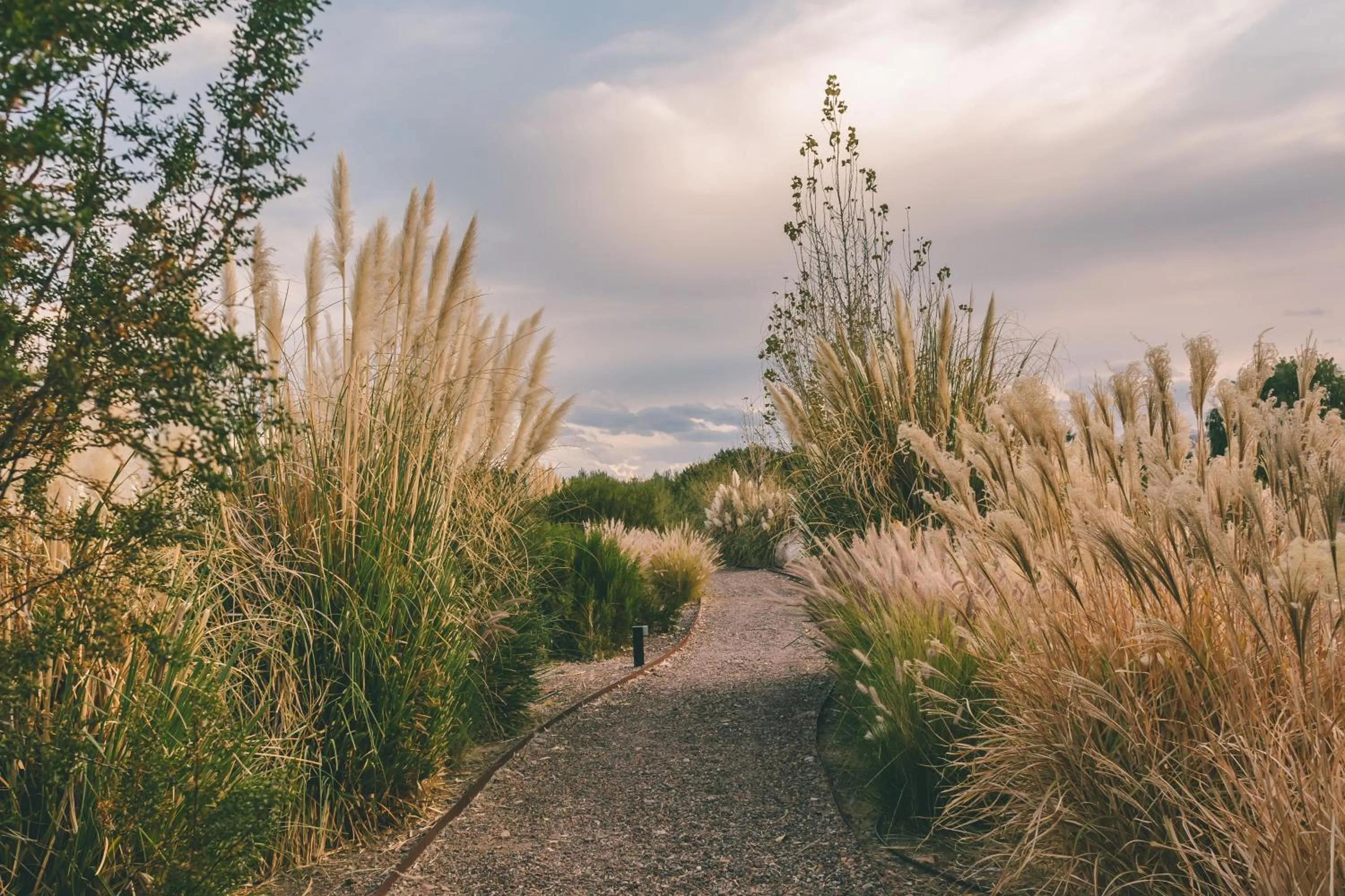 Spring in Rosell Boher Winery Lodge & Spa