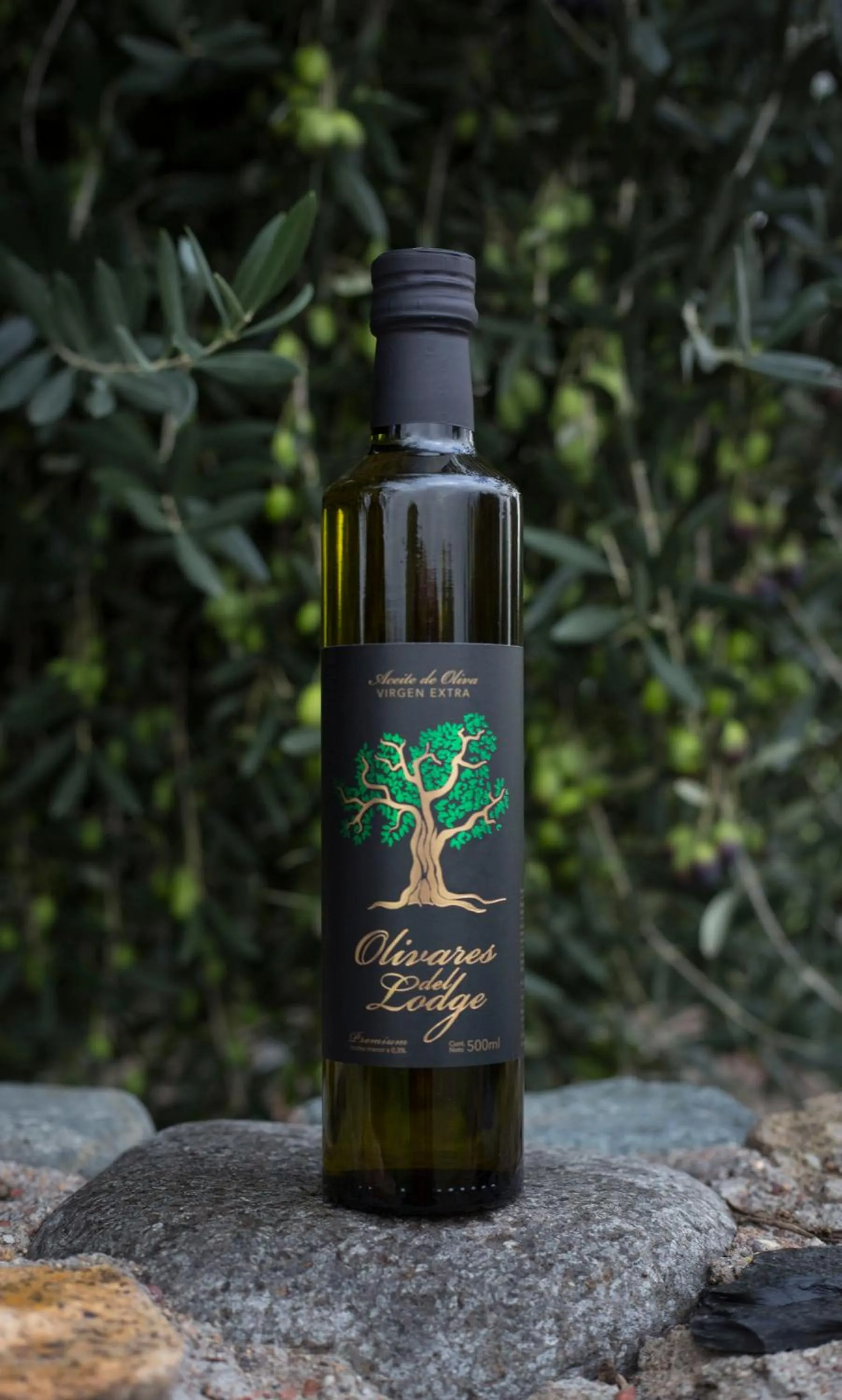 Restaurant/places to eat in Rosell Boher Winery Lodge & Spa