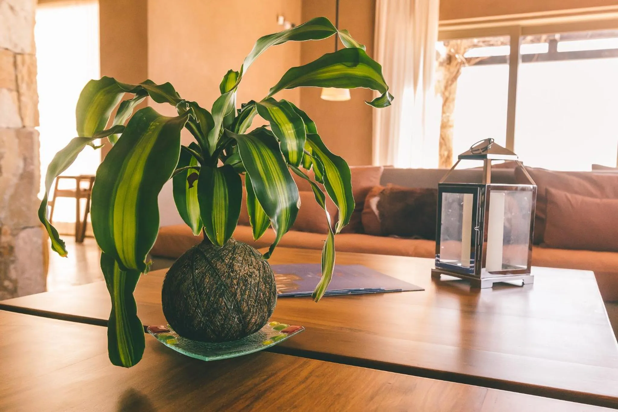 Living room in Rosell Boher Winery Lodge & Spa