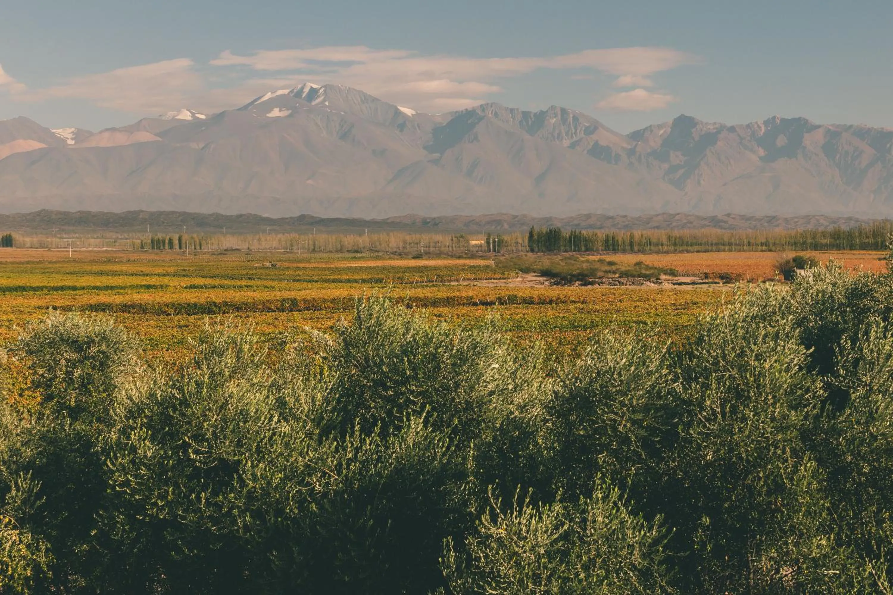 Nearby landmark in Rosell Boher Winery Lodge & Spa