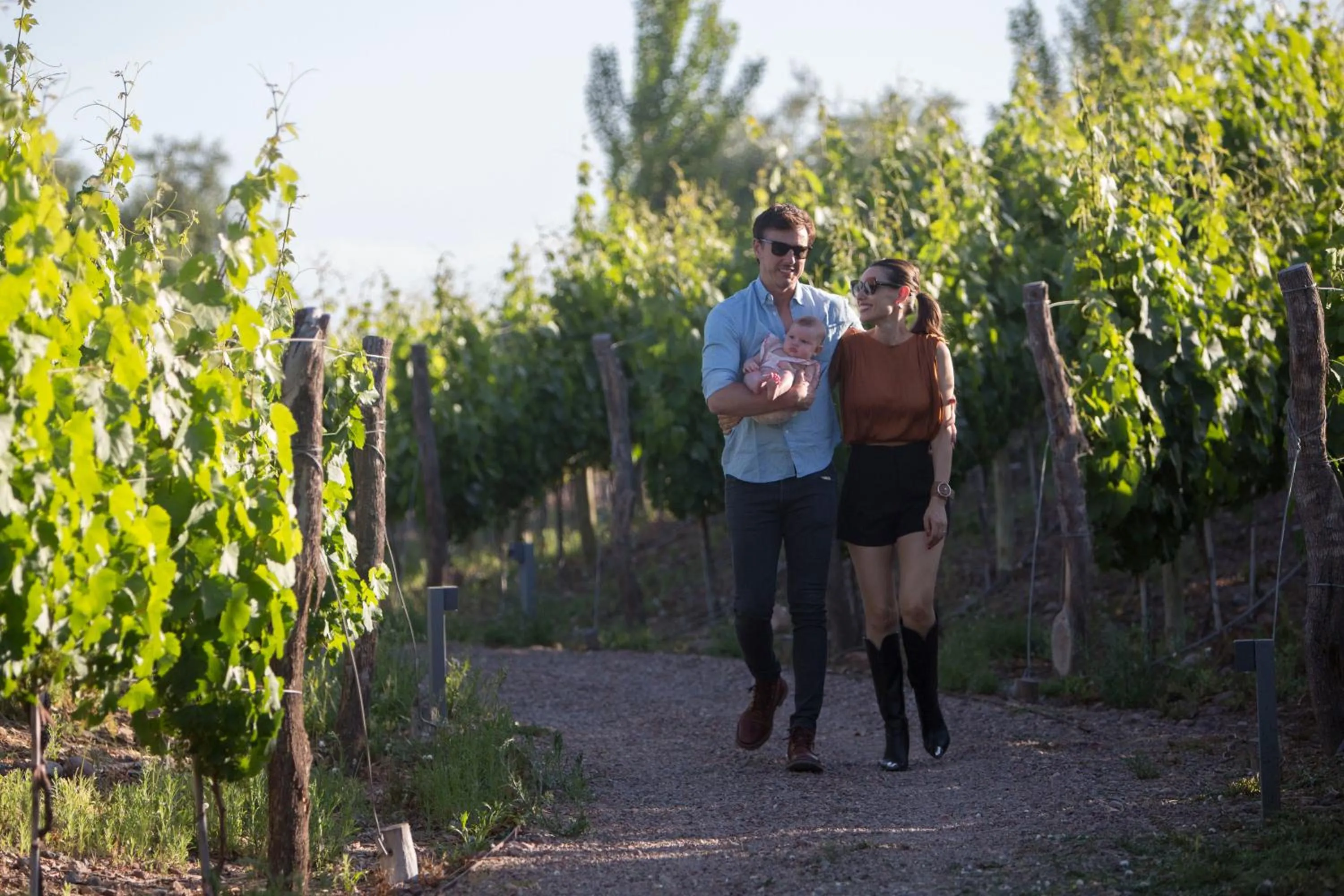 Spring in Rosell Boher Winery Lodge & Spa