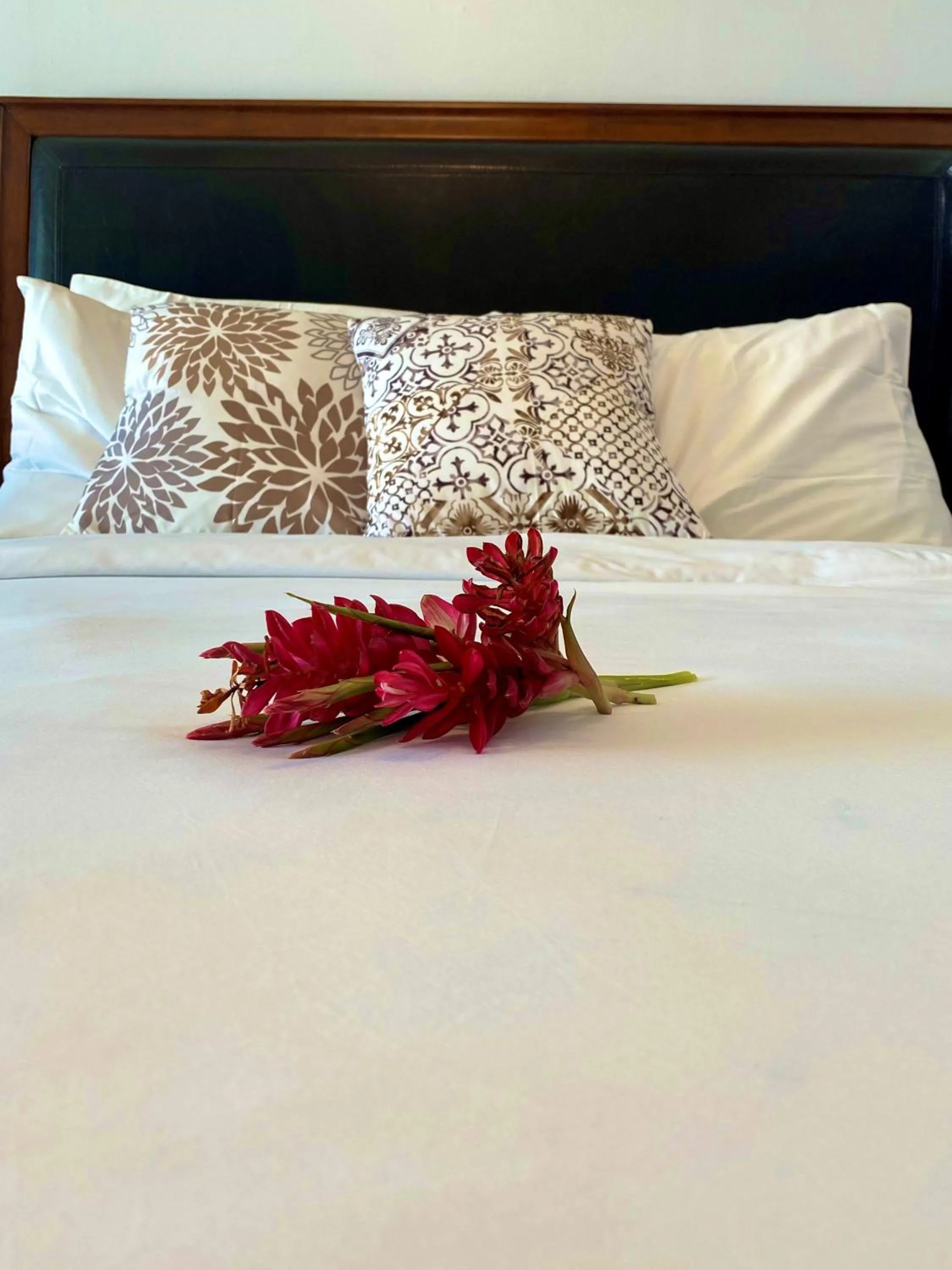 La Vista Azul Resort - Studio