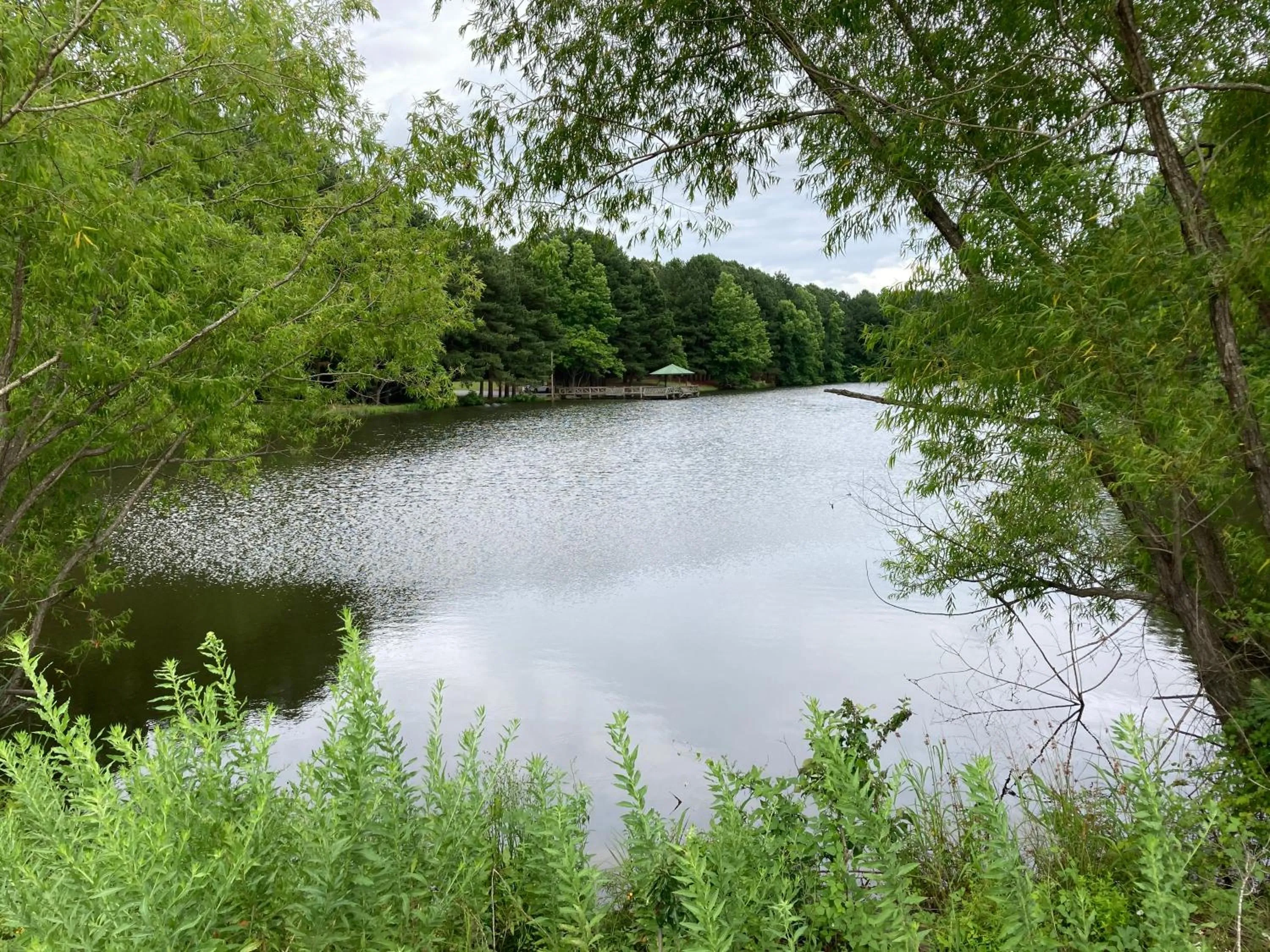 Natural landscape in Travel Inn