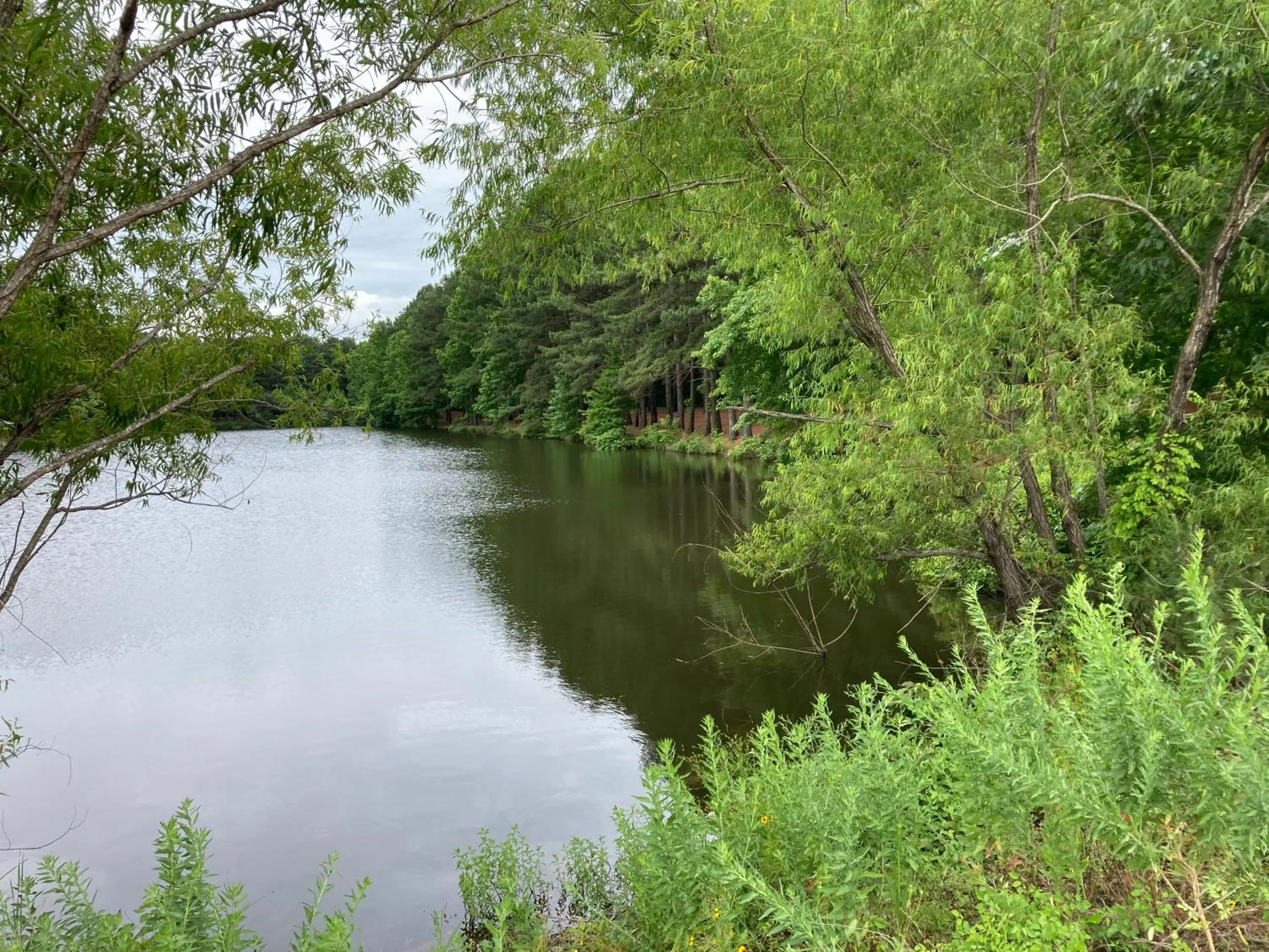 River view in Travel Inn