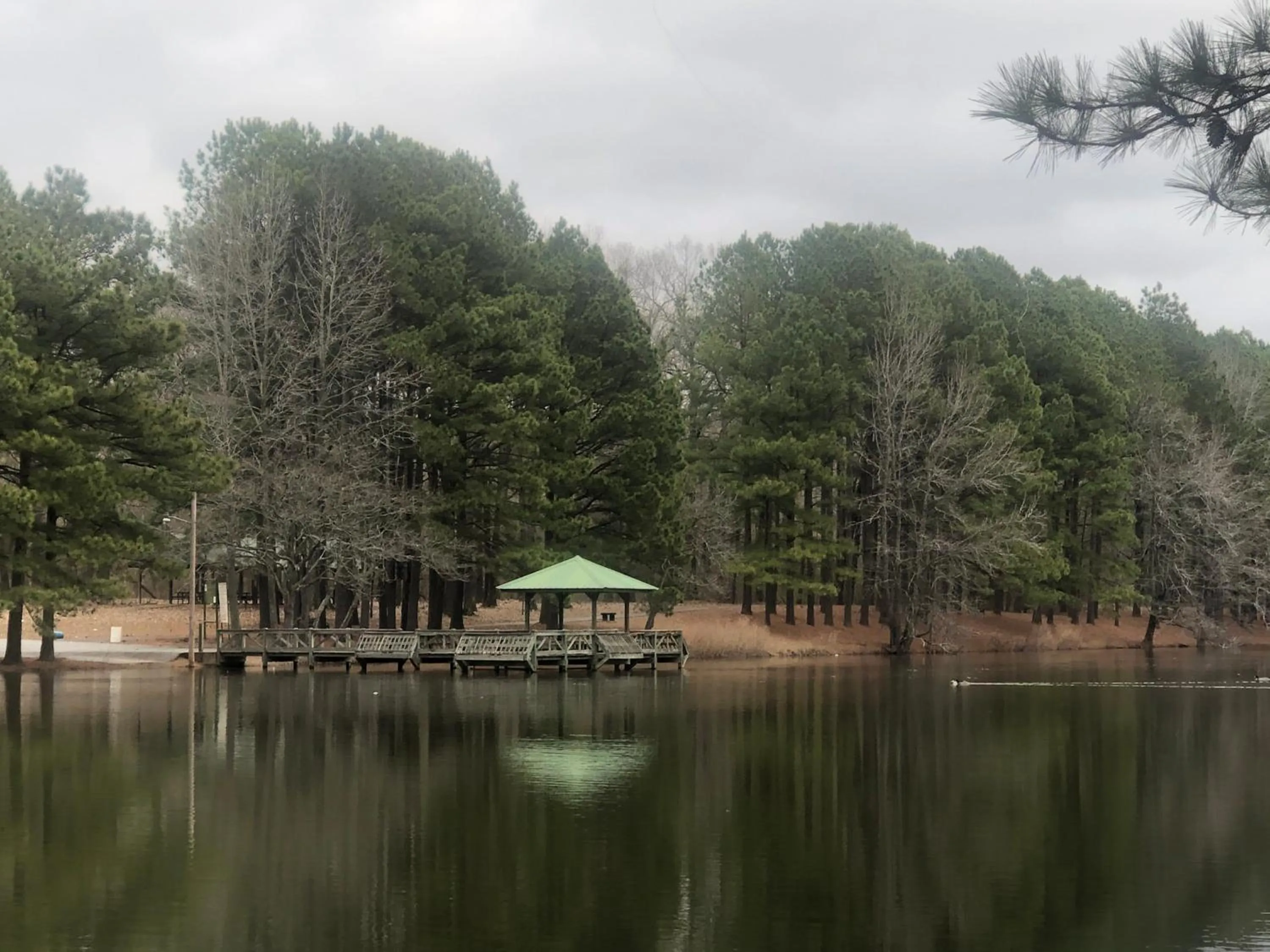 Natural landscape in Travel Inn