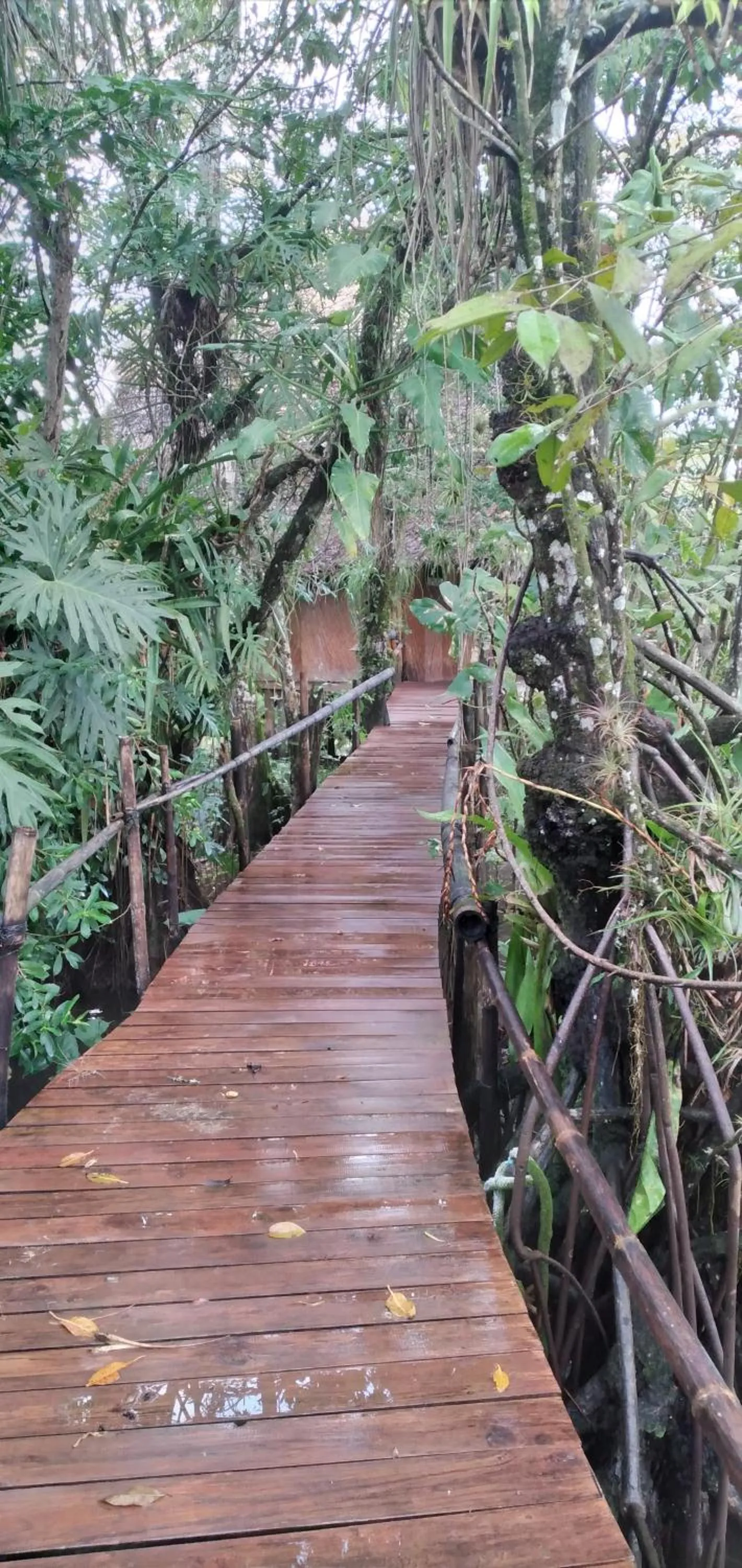 Chalet with Five Bedrooms  in Tortugal Boutique River Lodge