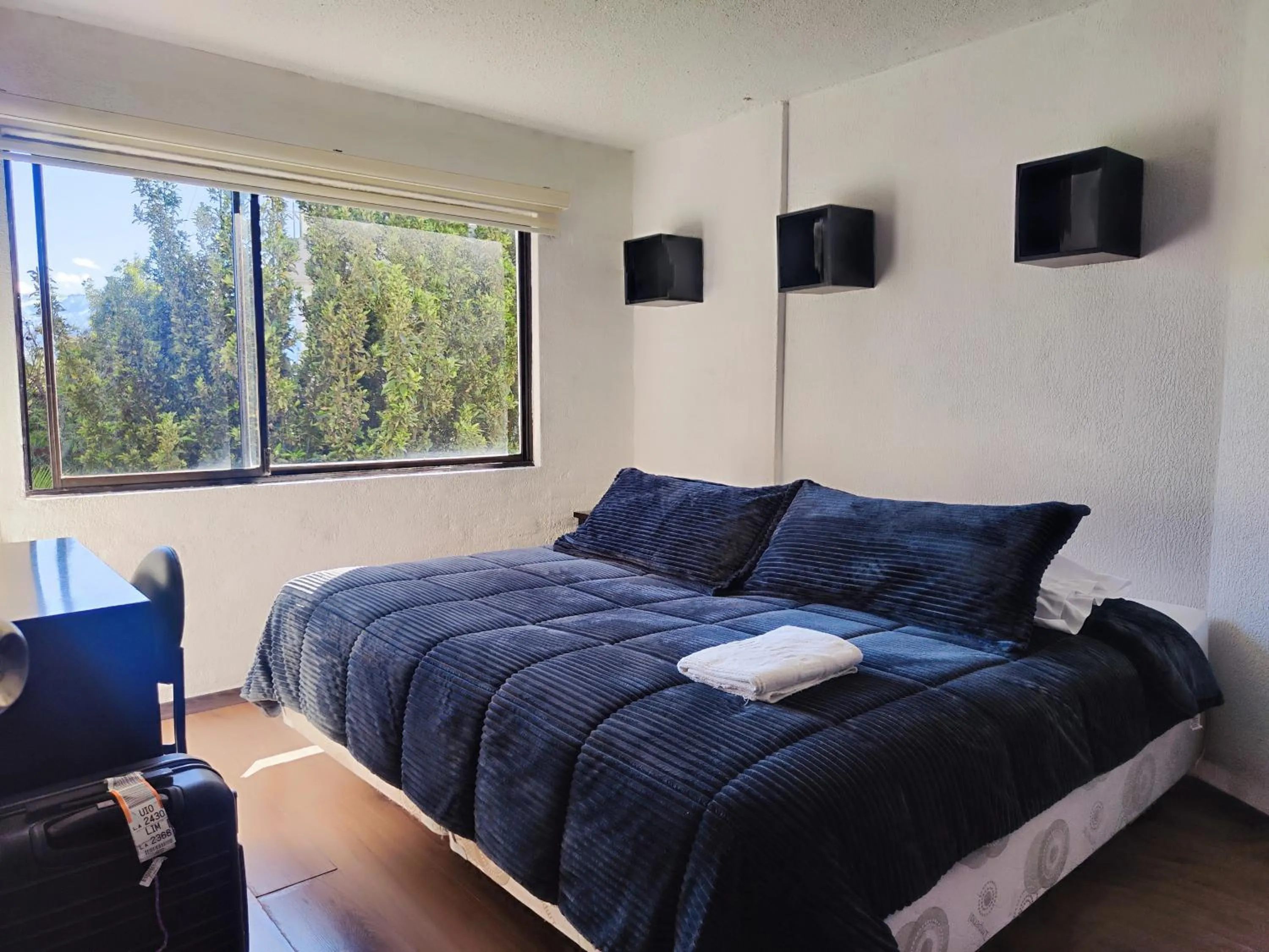 Photo of the whole room, Bed in Hotel Bellavista Quito