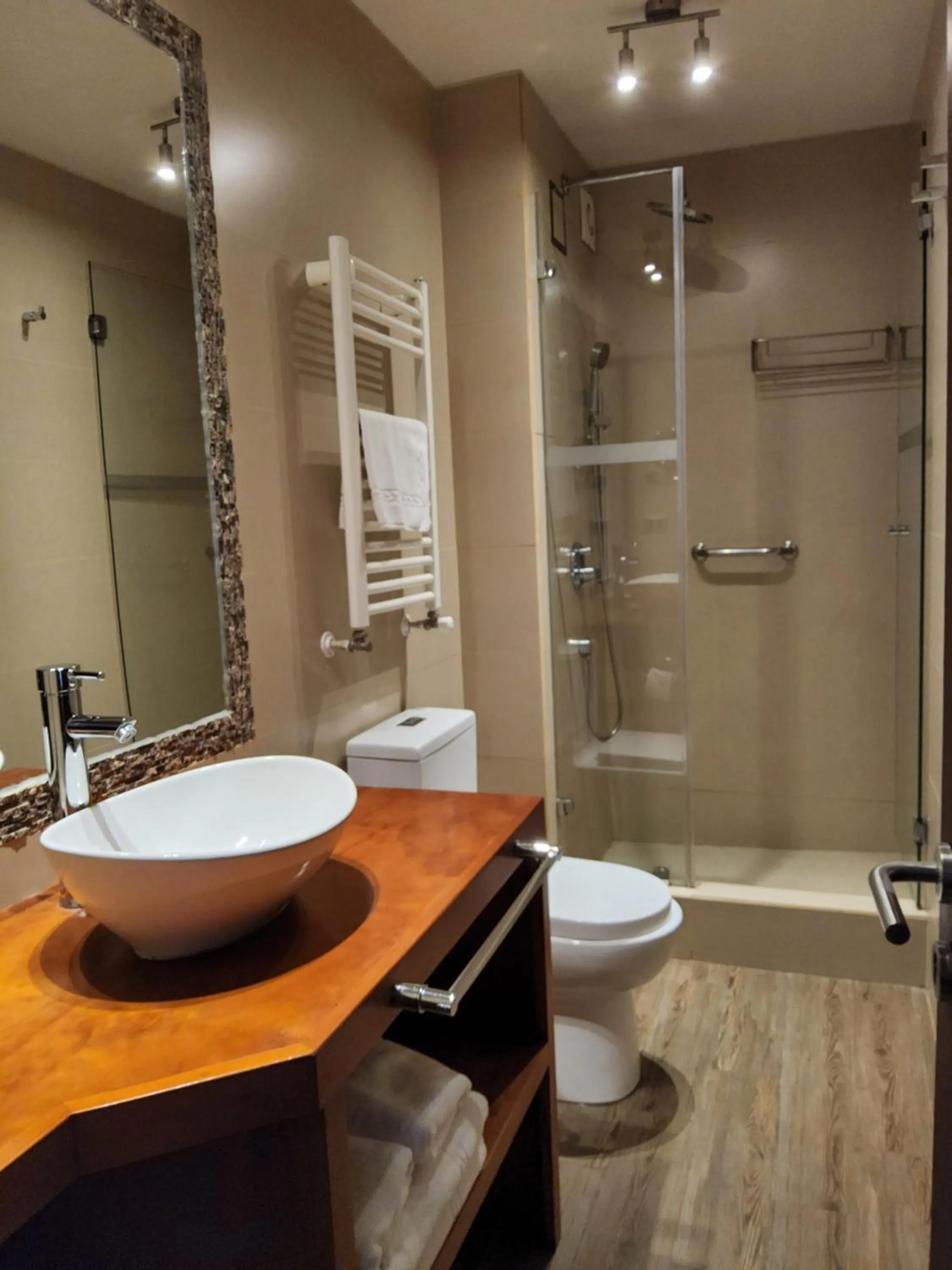 Bathroom in Martina de Goñi