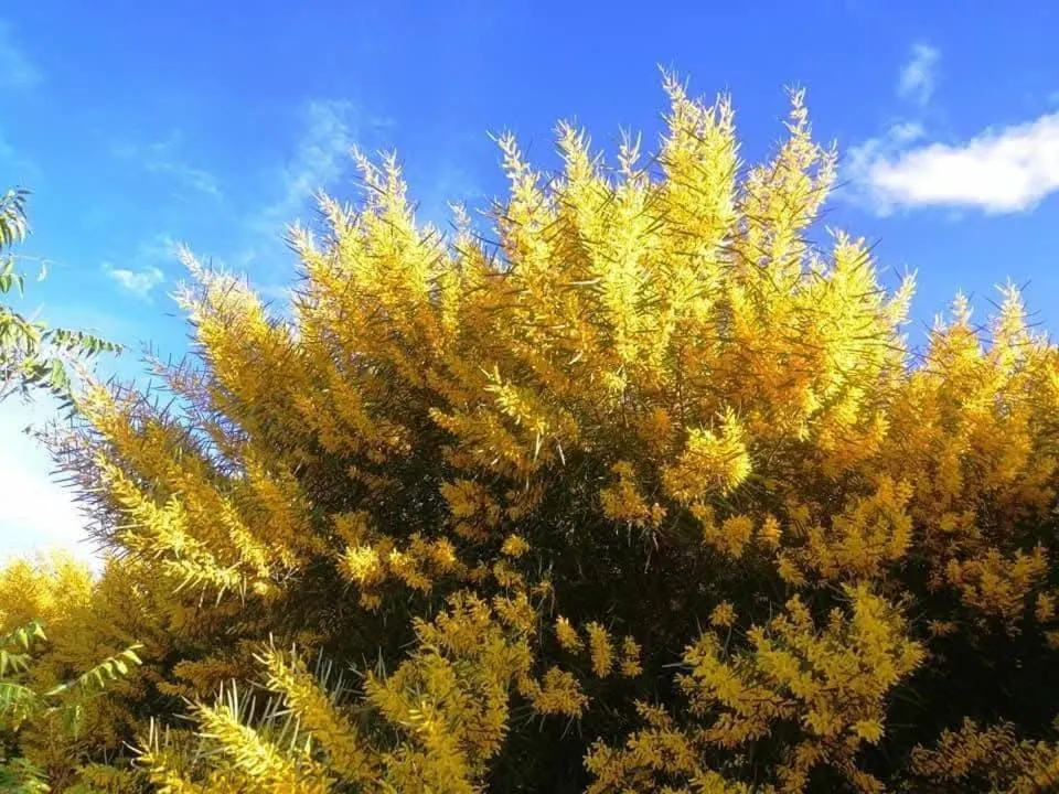 Hung Phuc Mui Ne Hotel