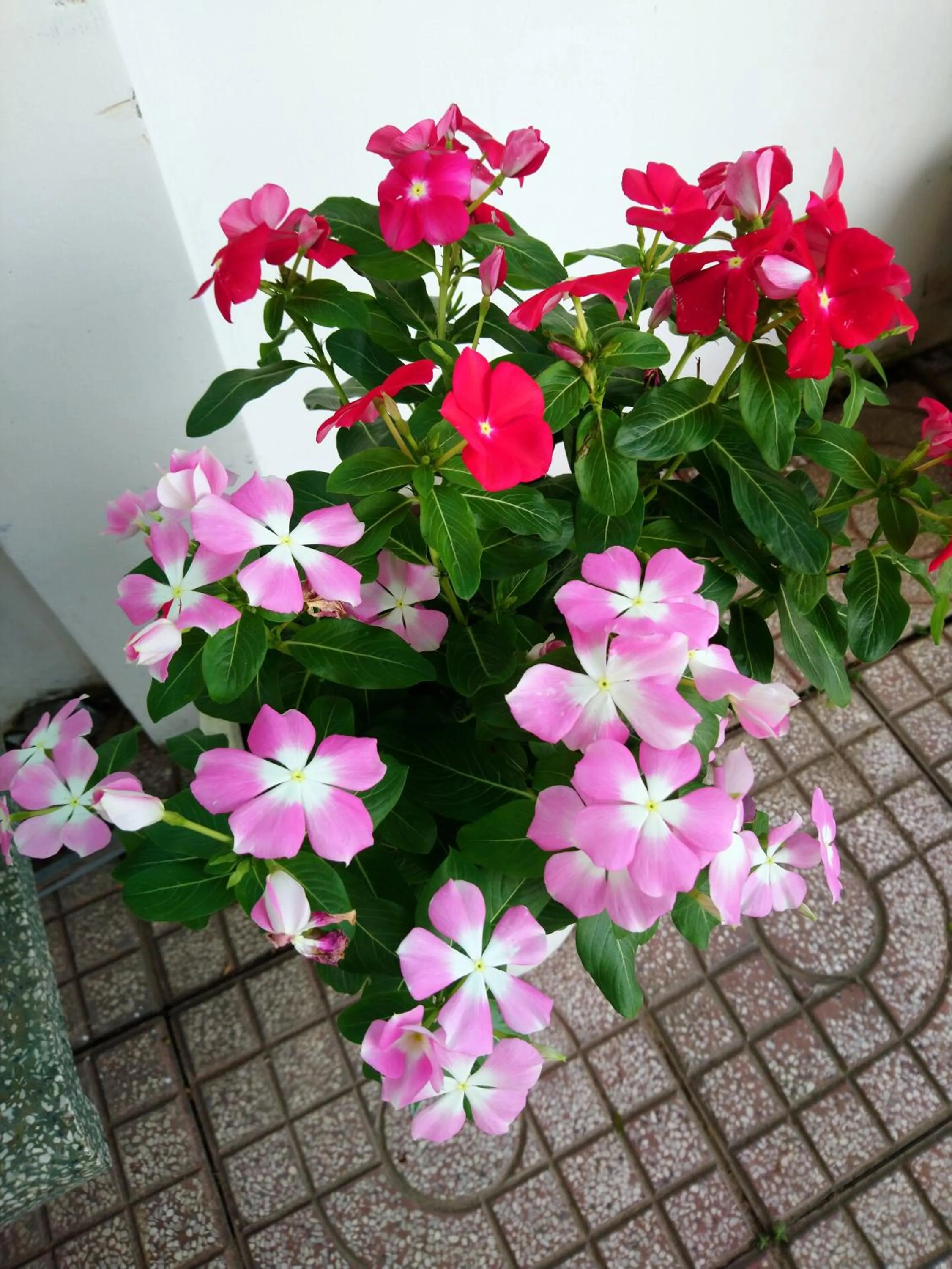 Hung Phuc Mui Ne Hotel