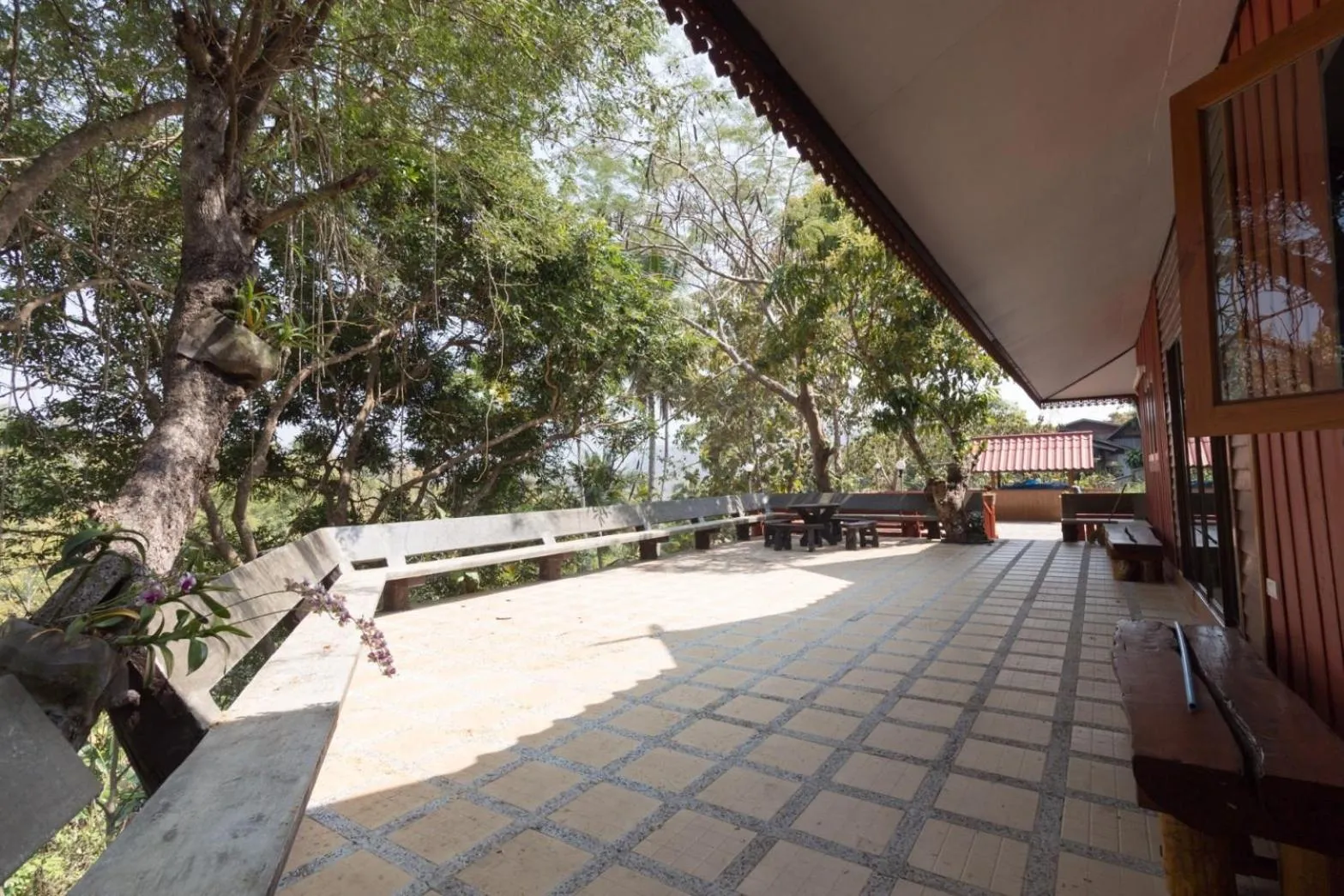 Day in Mitkhoonyoum Hotel