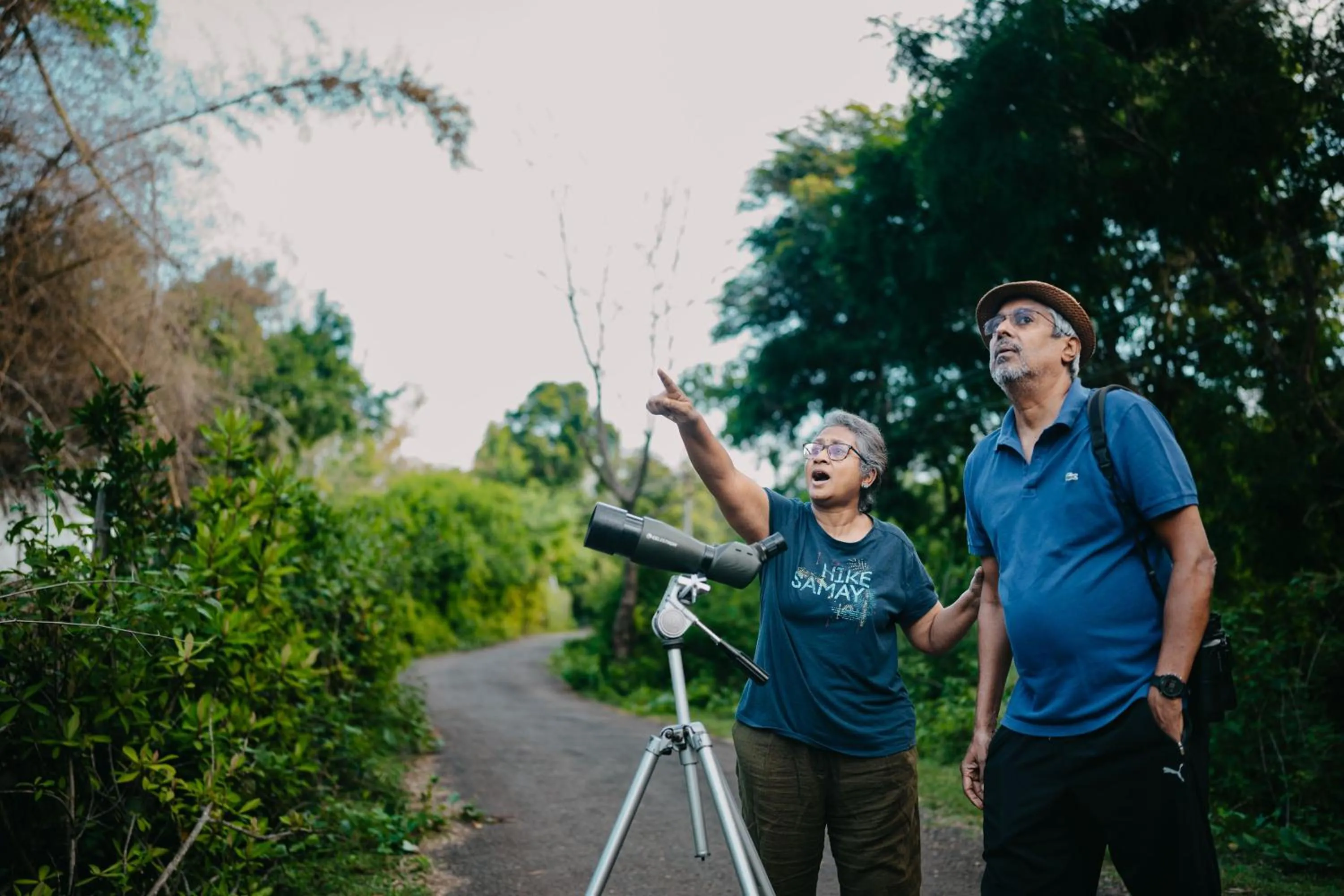 Natural landscape in Jungle Hut Resort