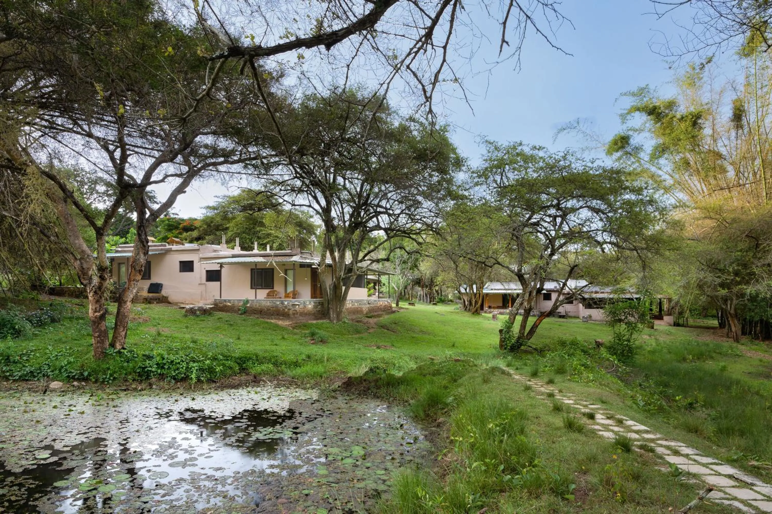 View (from property/room) in Jungle Hut Resort