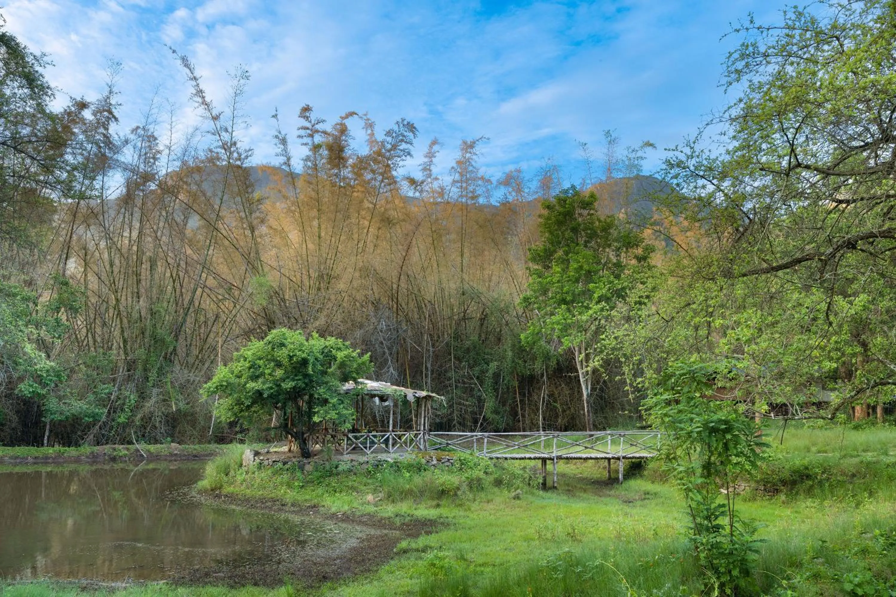 Other in Jungle Hut Resort